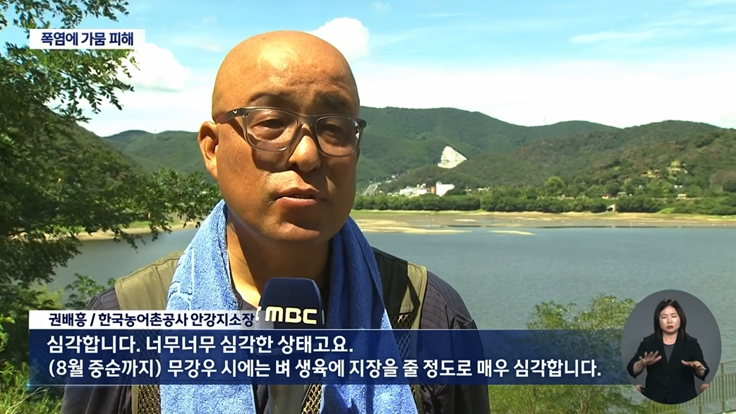 대구 MBC 뉴스 안강지소장 인터뷰.png
