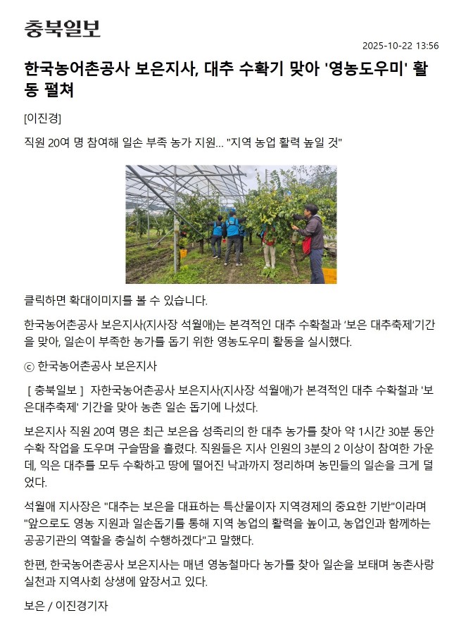 충북일보(대추수확).jpg