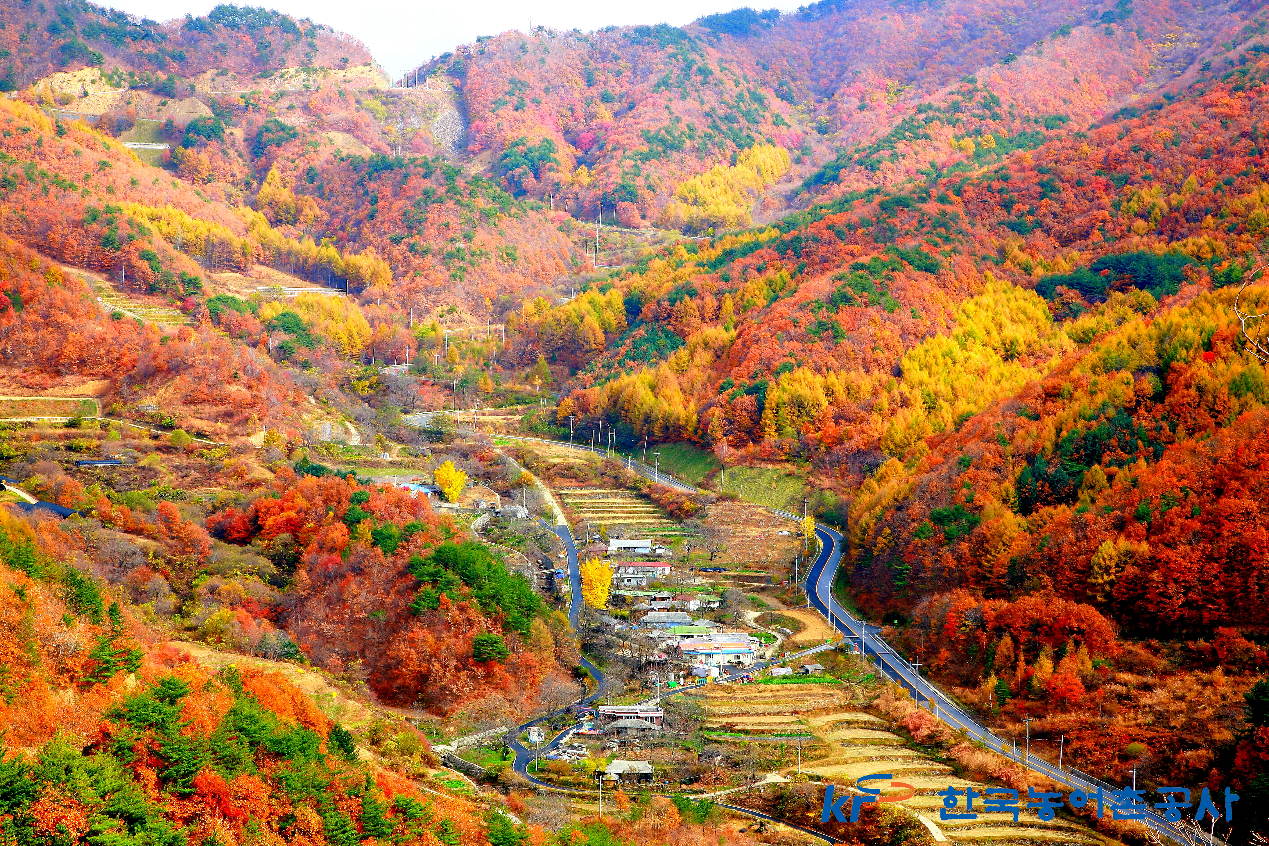 산촌의가을