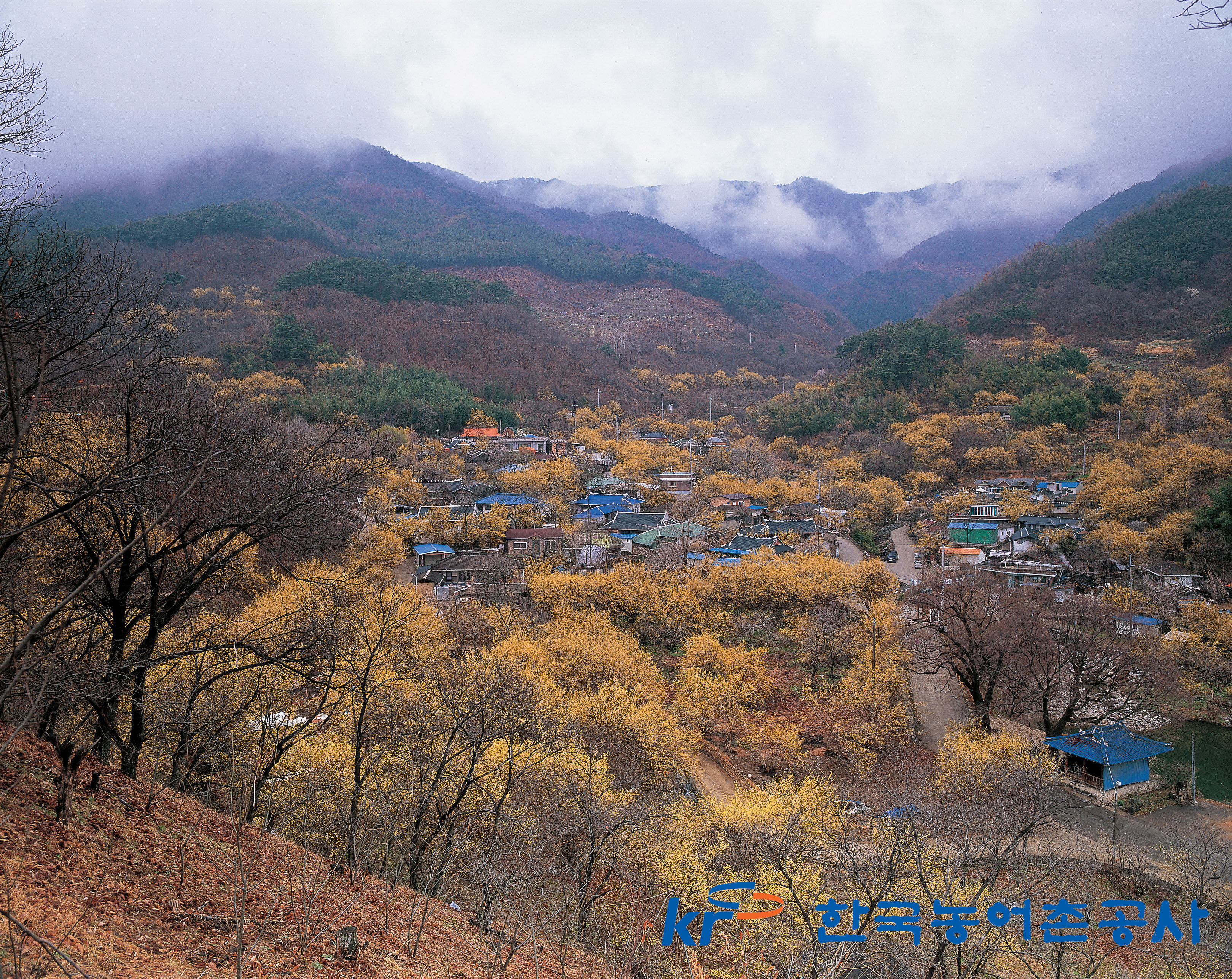 산수유마을