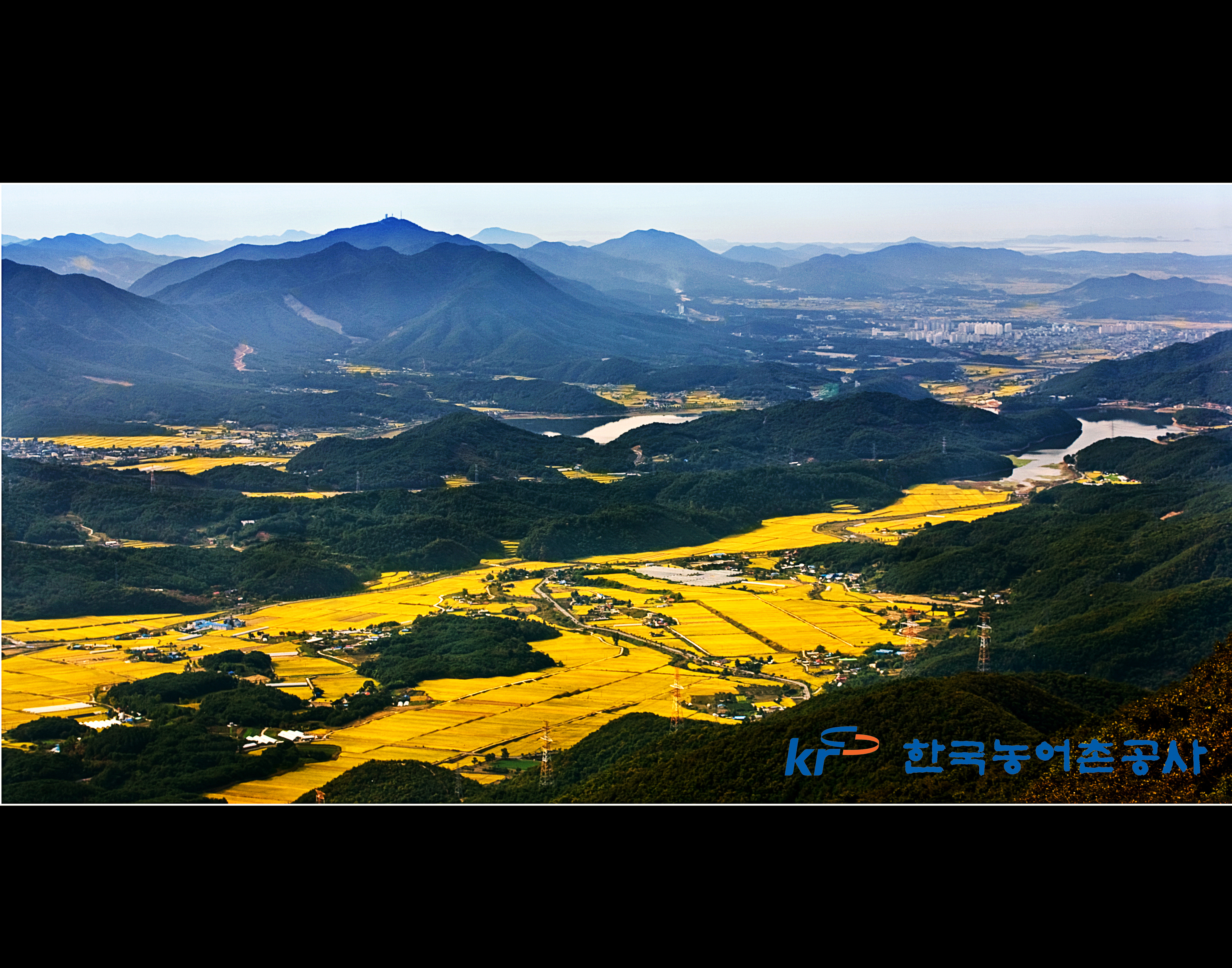 고향의만추