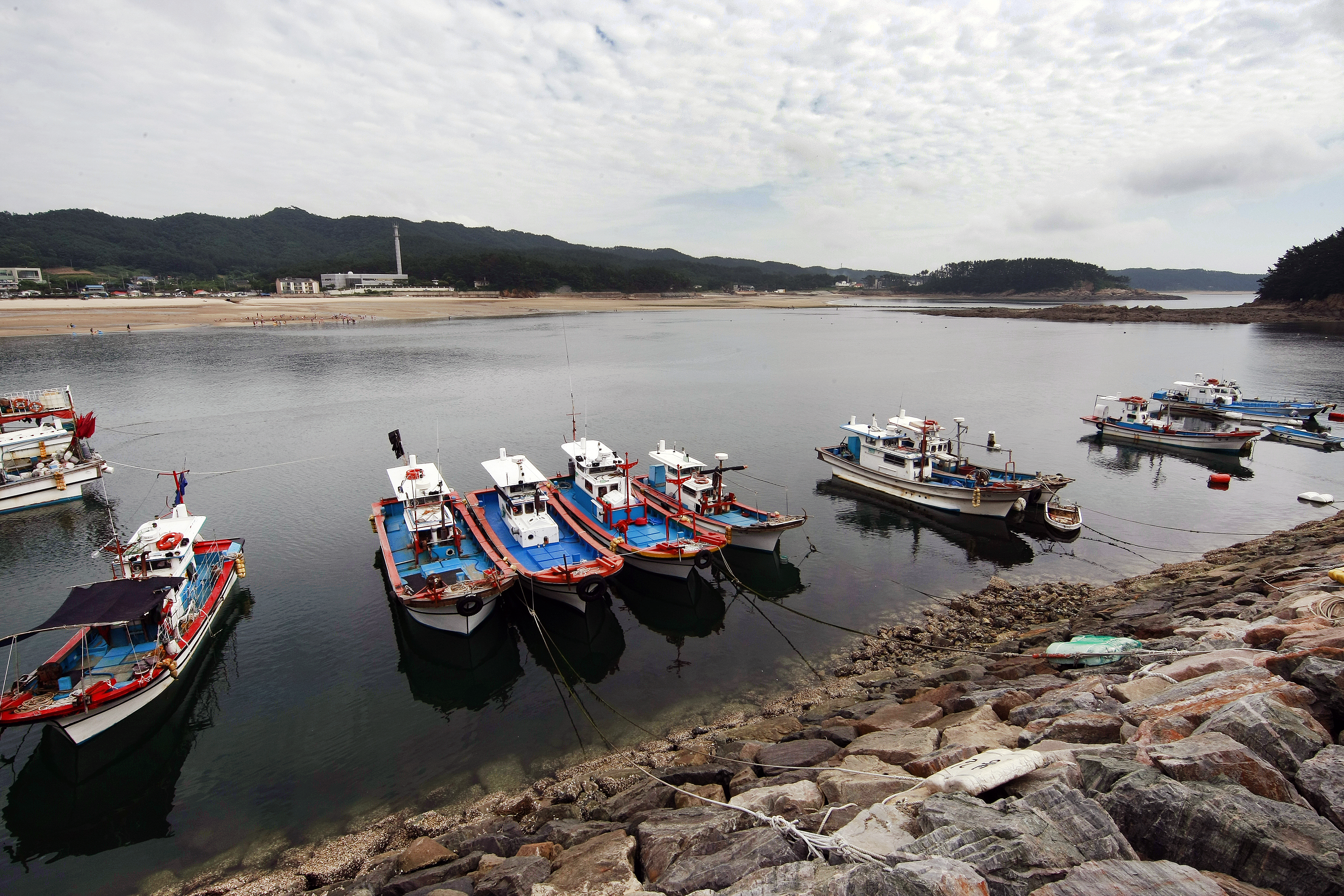충남 태안 천리포