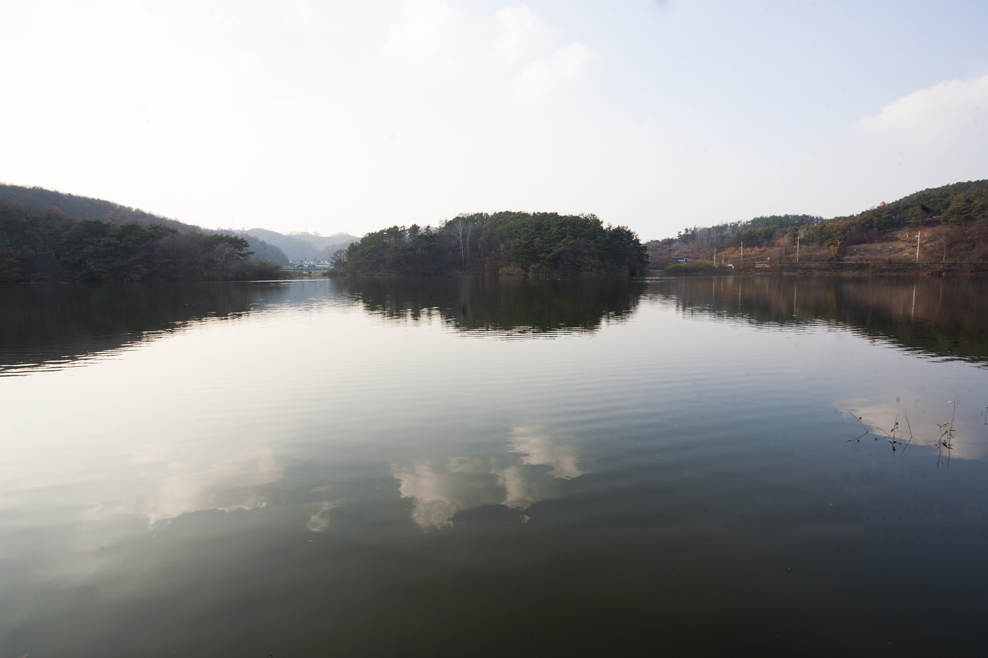 충남 대정저수지