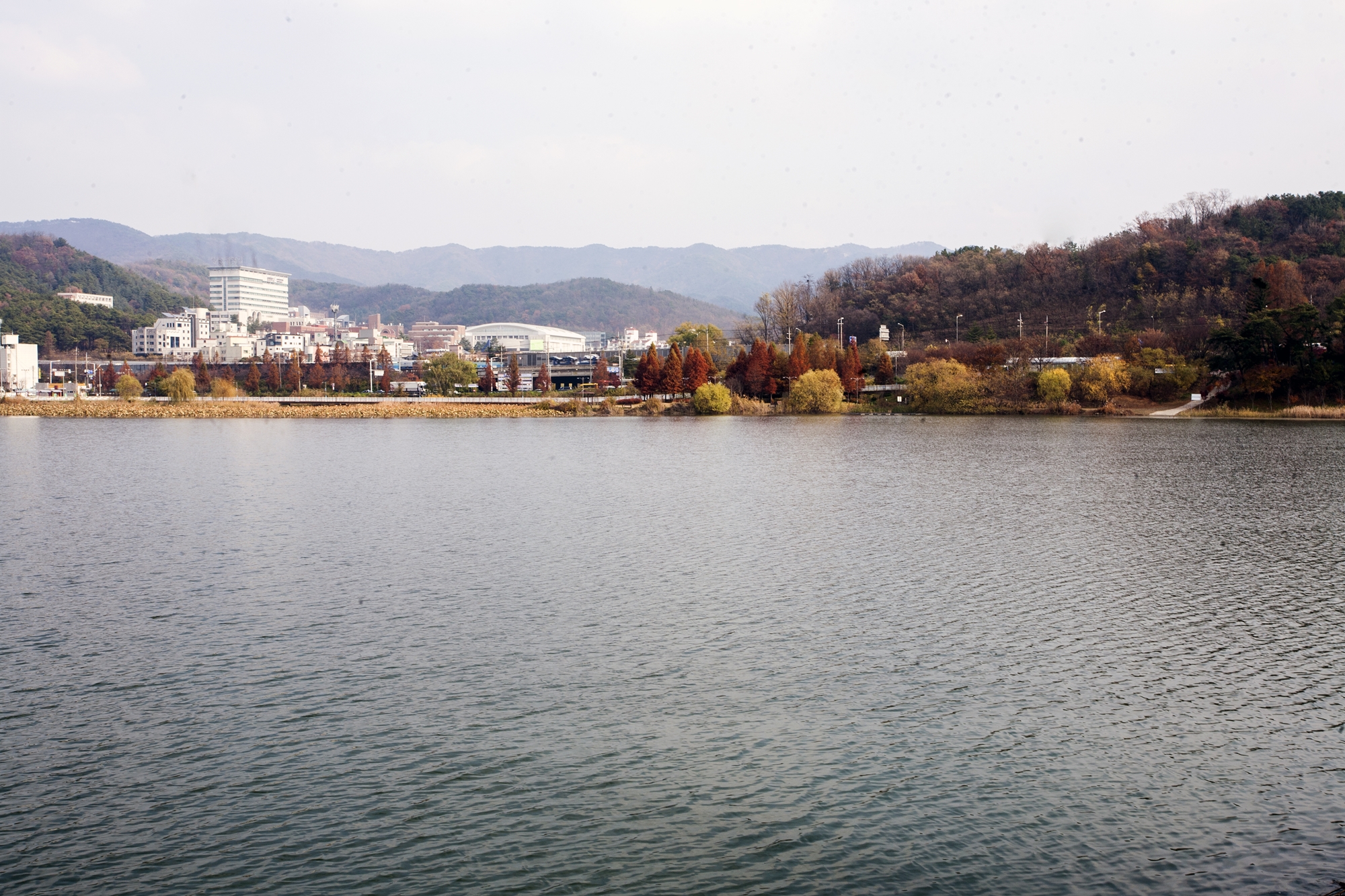 충남 천호저수지