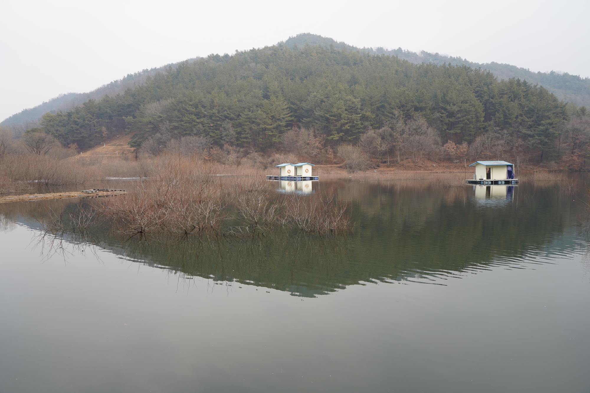 충남 요룡저수지