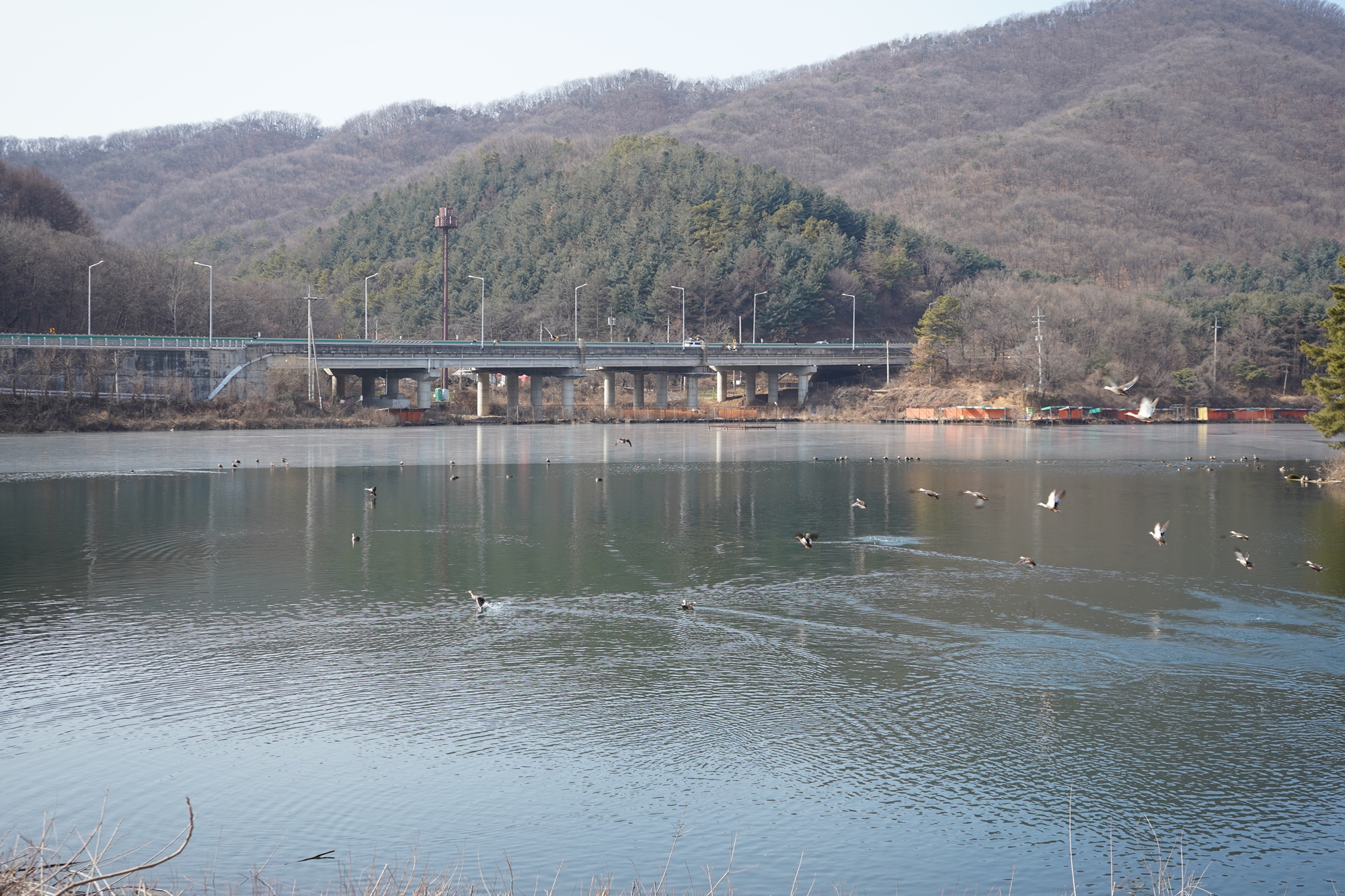 경기 용면저수지
