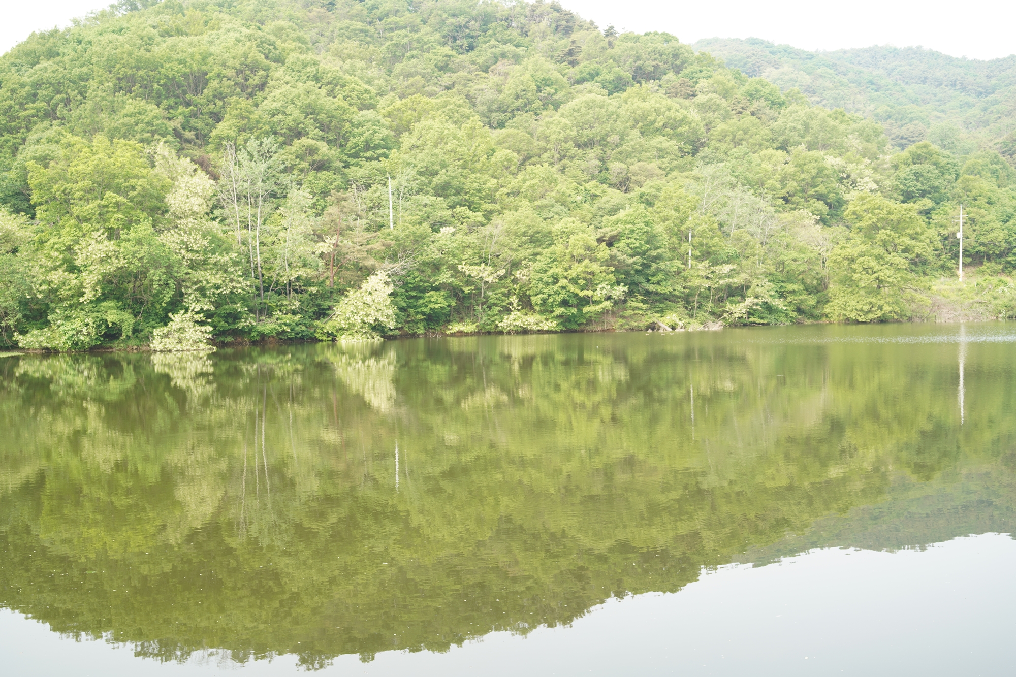 운산저수지