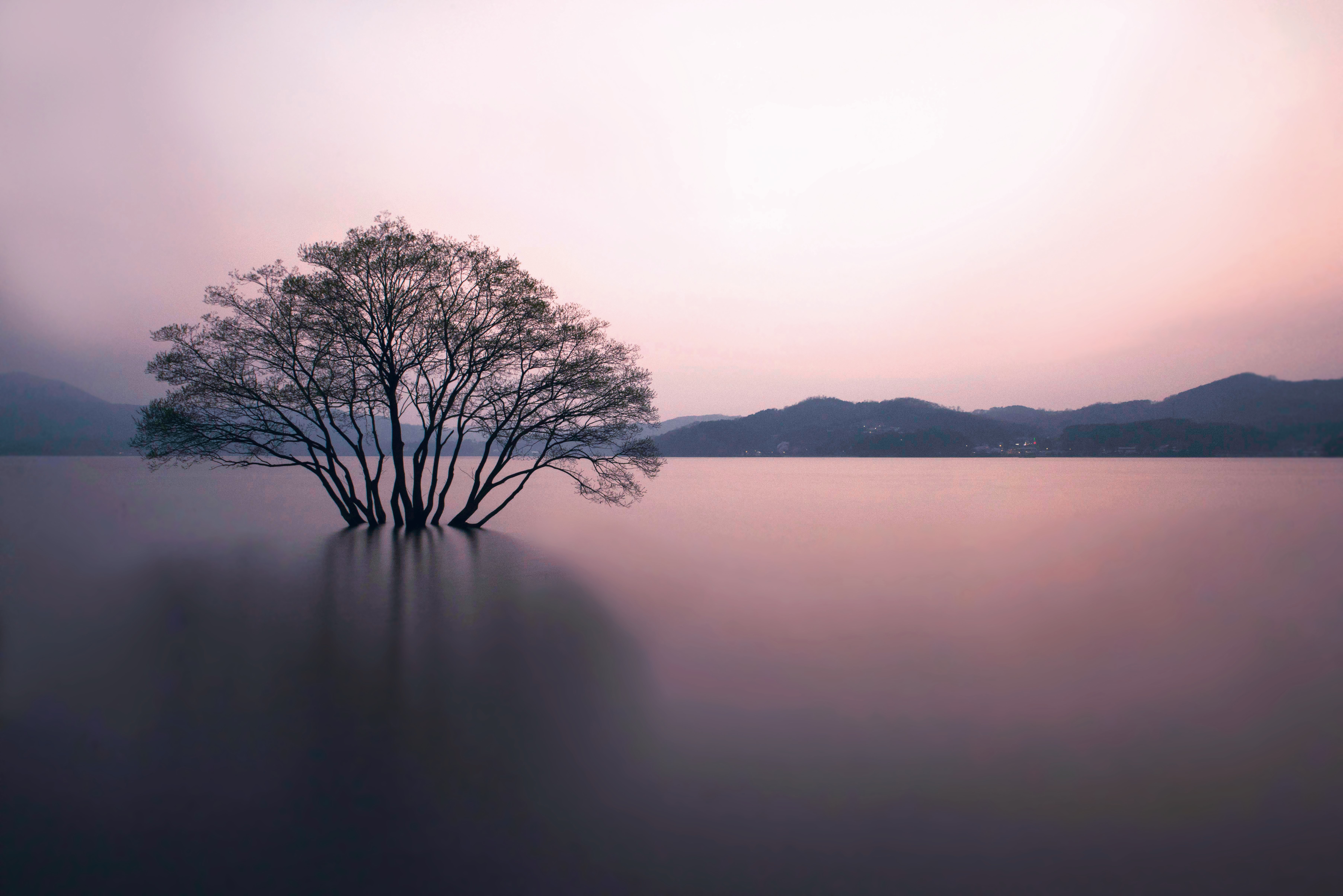 충남 예산 예당저수지