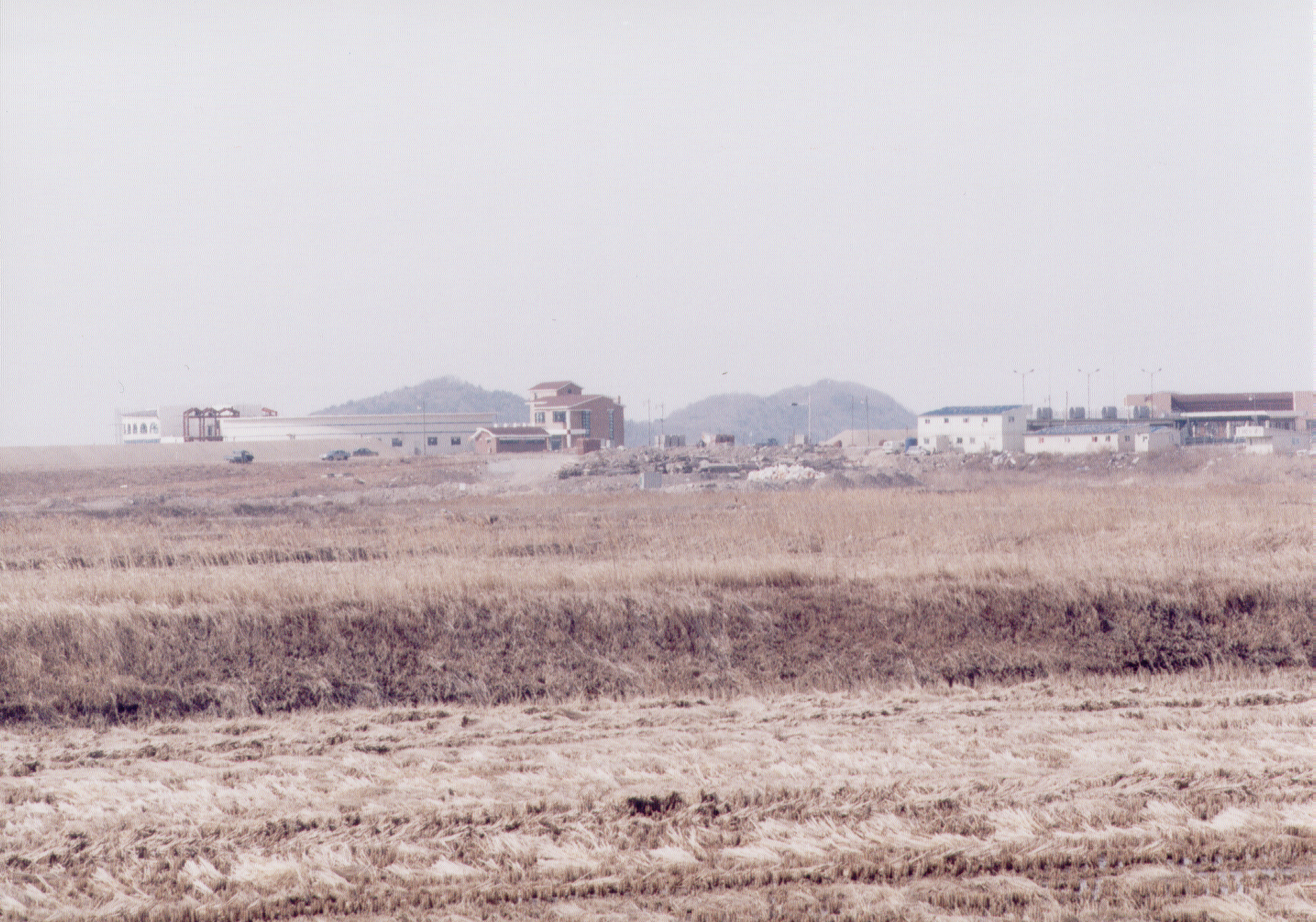 도비도 전경                                       