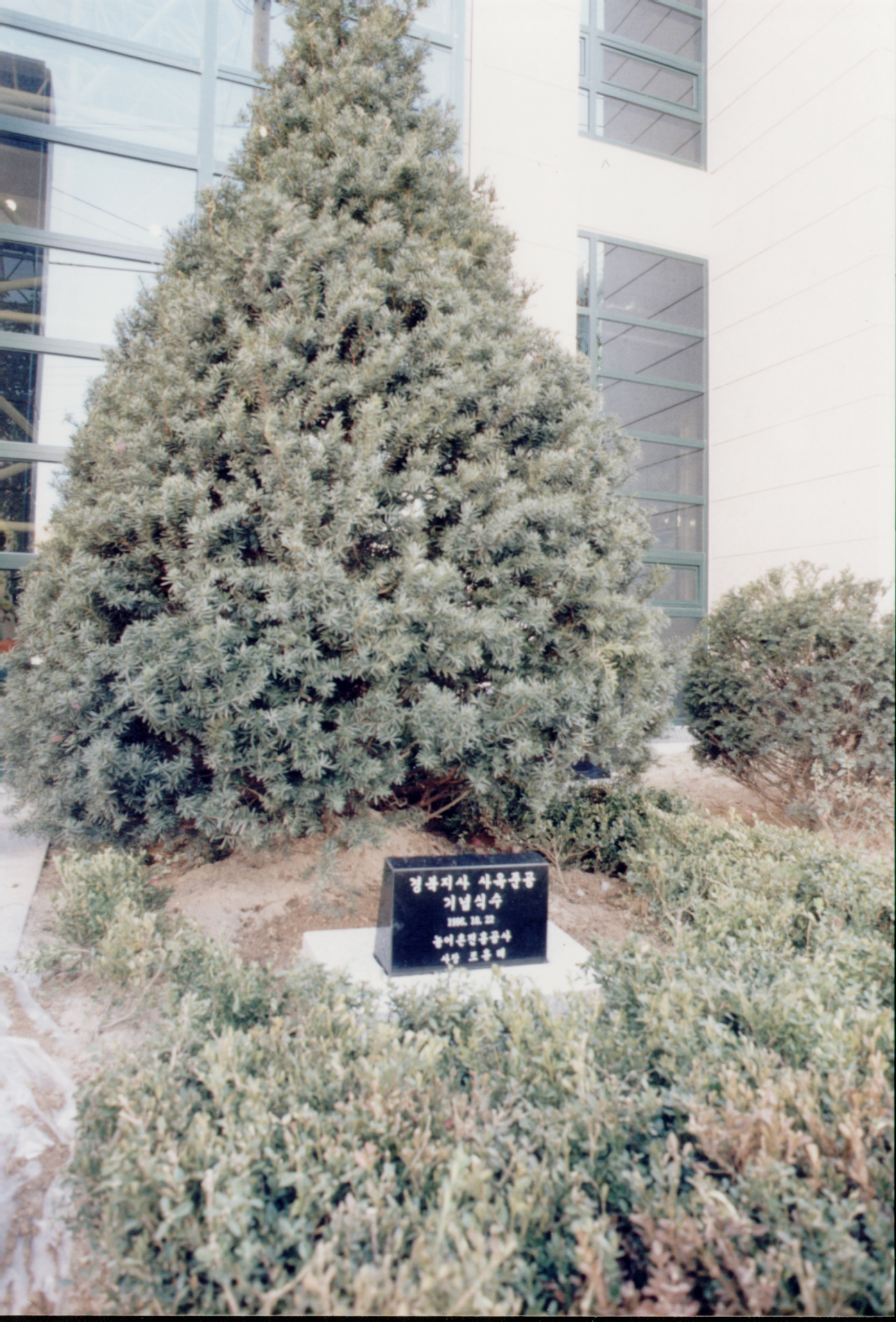 경북지사 본관전경                                 