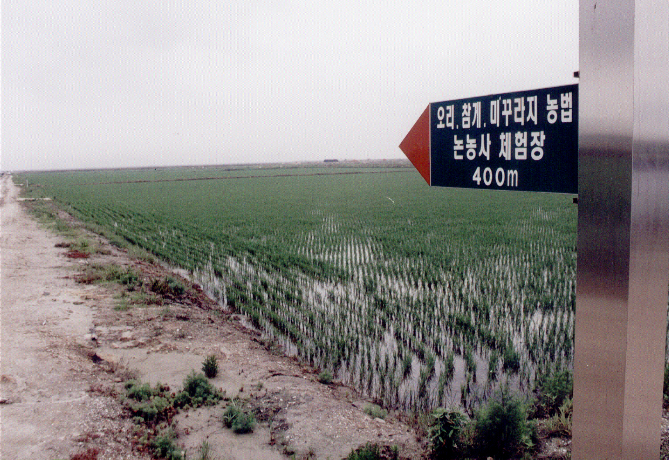 미꾸라지농법                                      