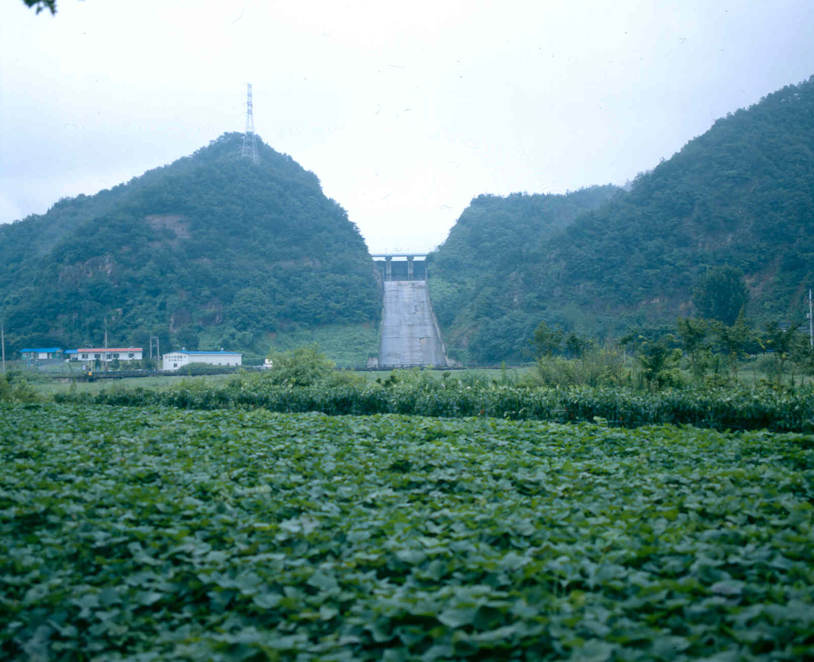 밭기반정비                                        