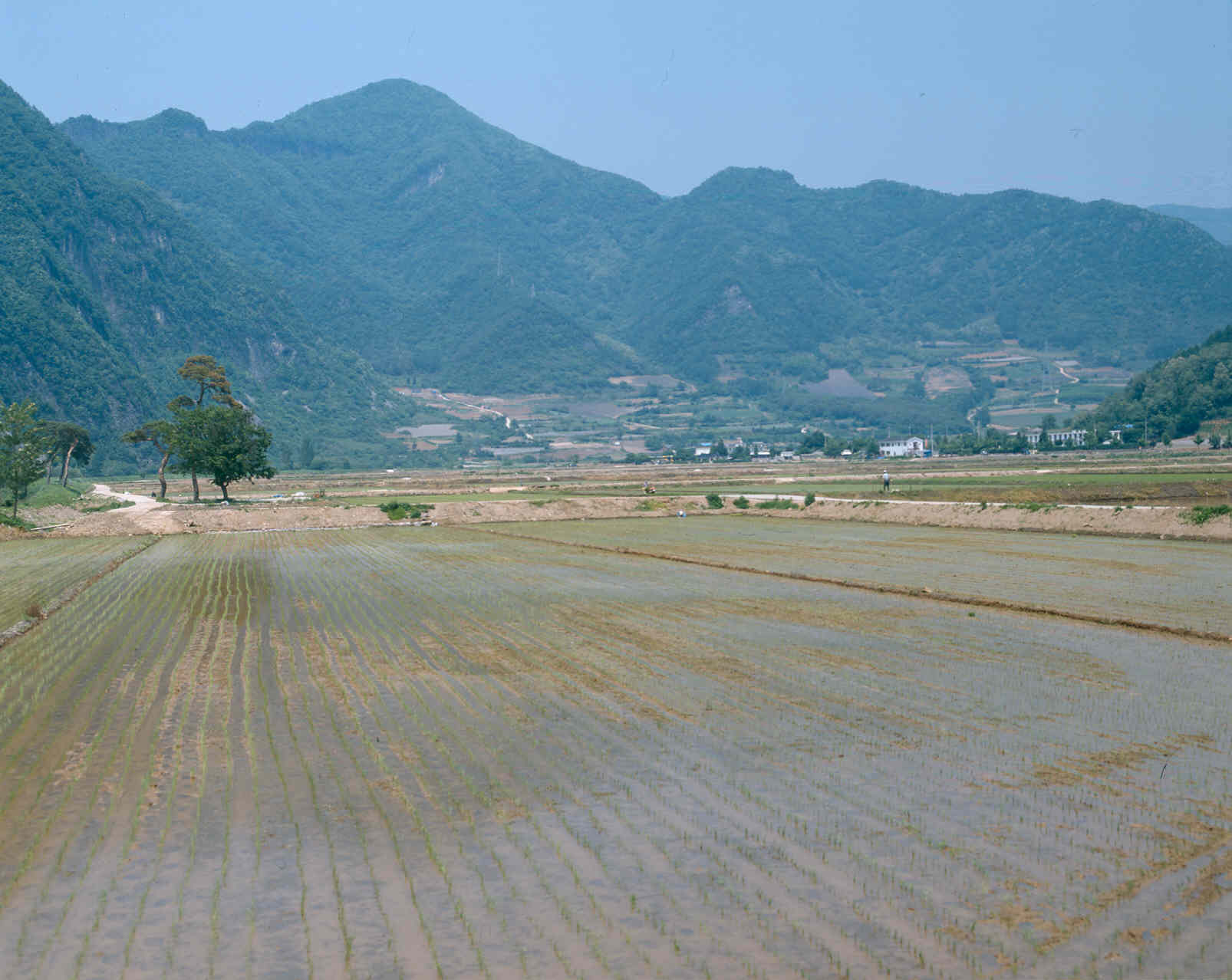 태백 밭기반정비지구                               
