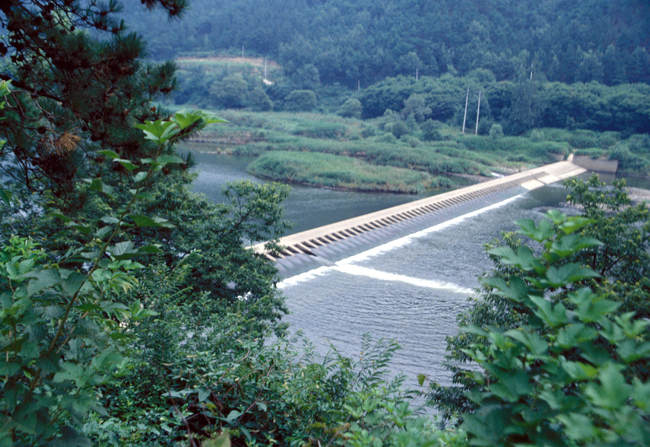 보                                                