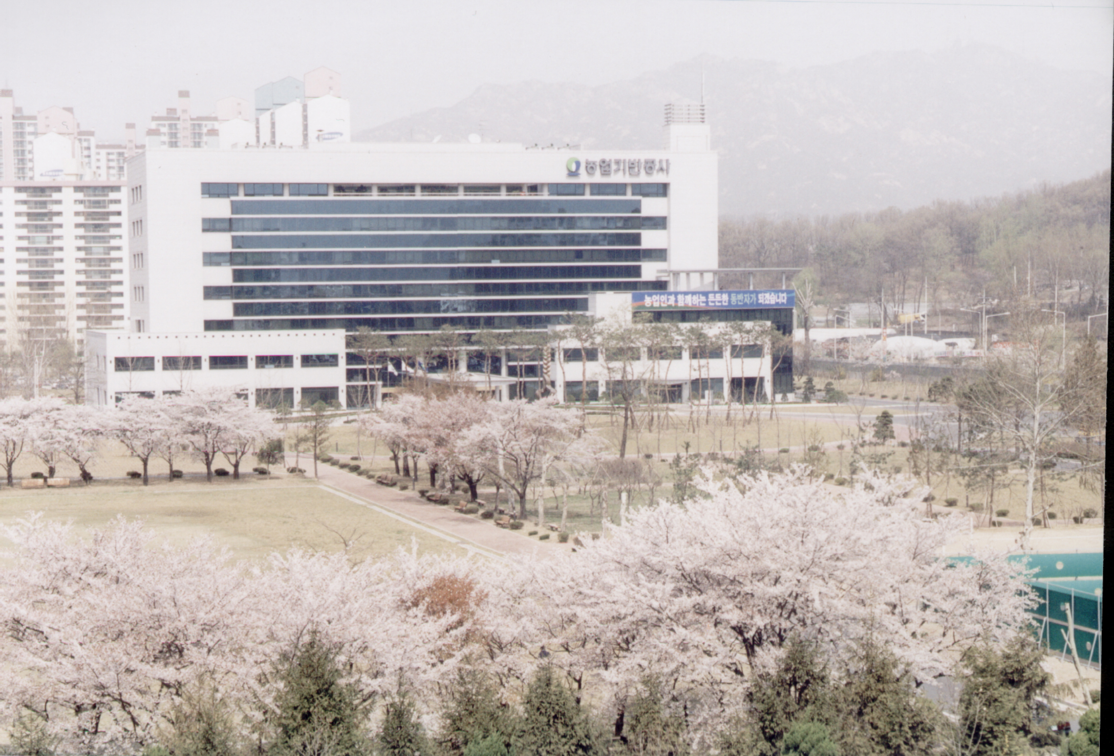 본사전경                                          