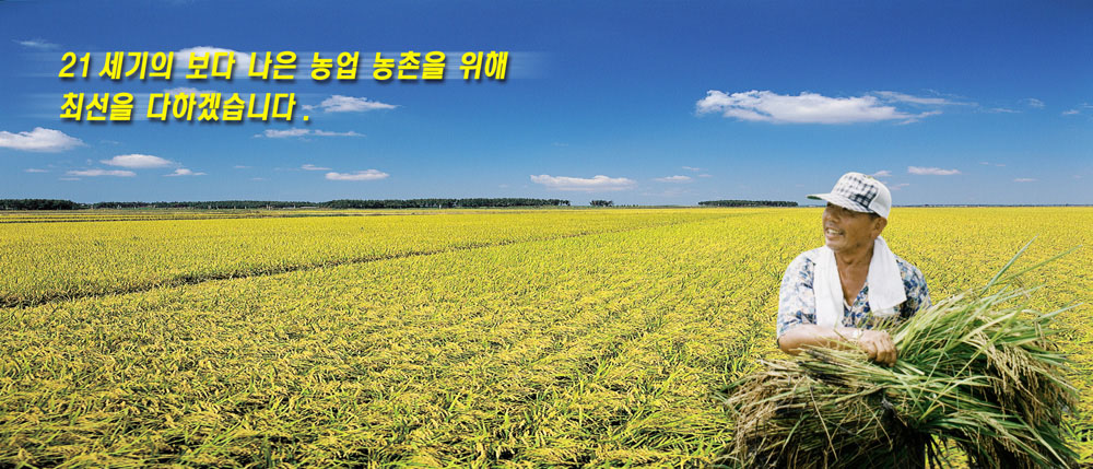패널사본                                          