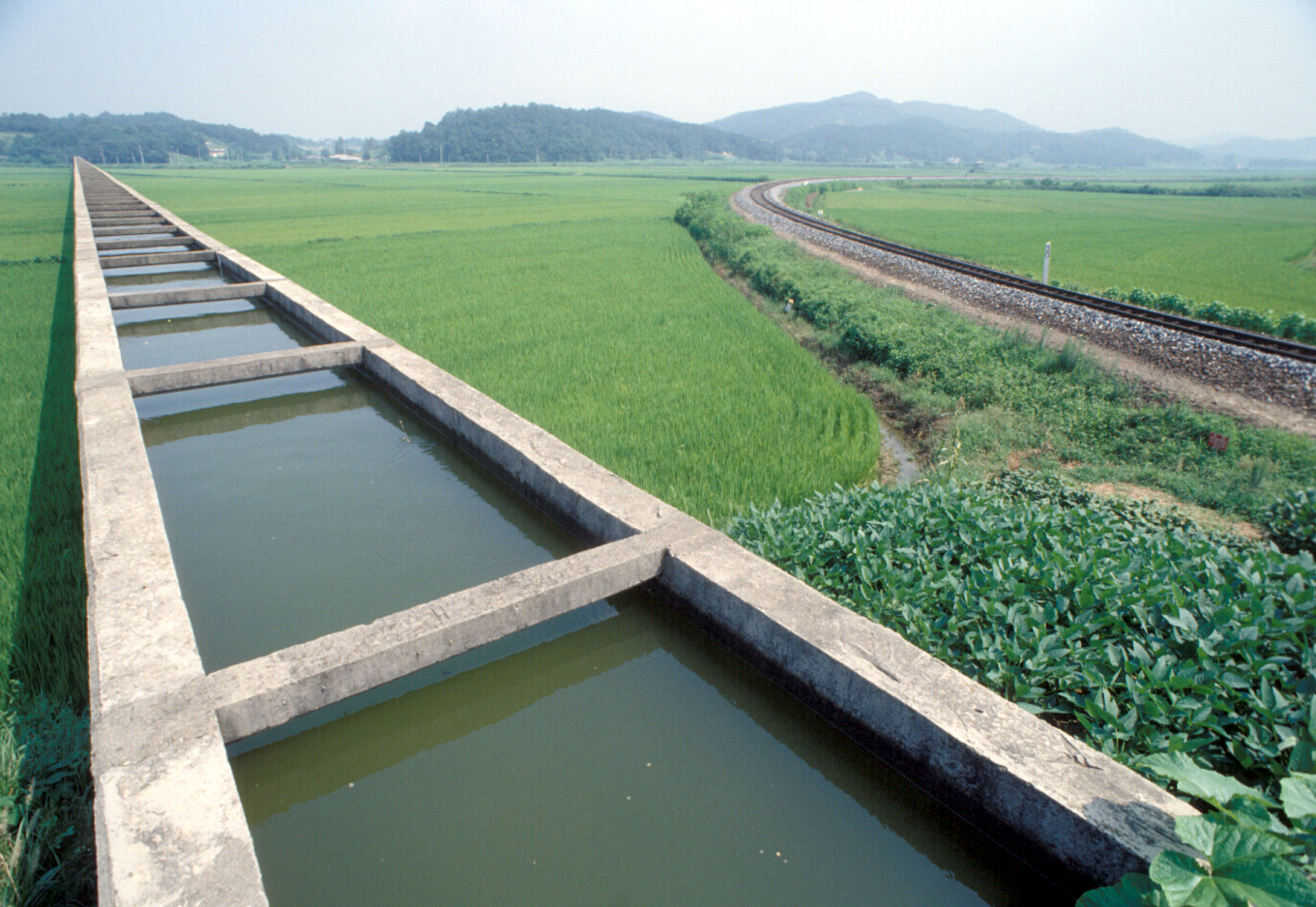 용수로                                            