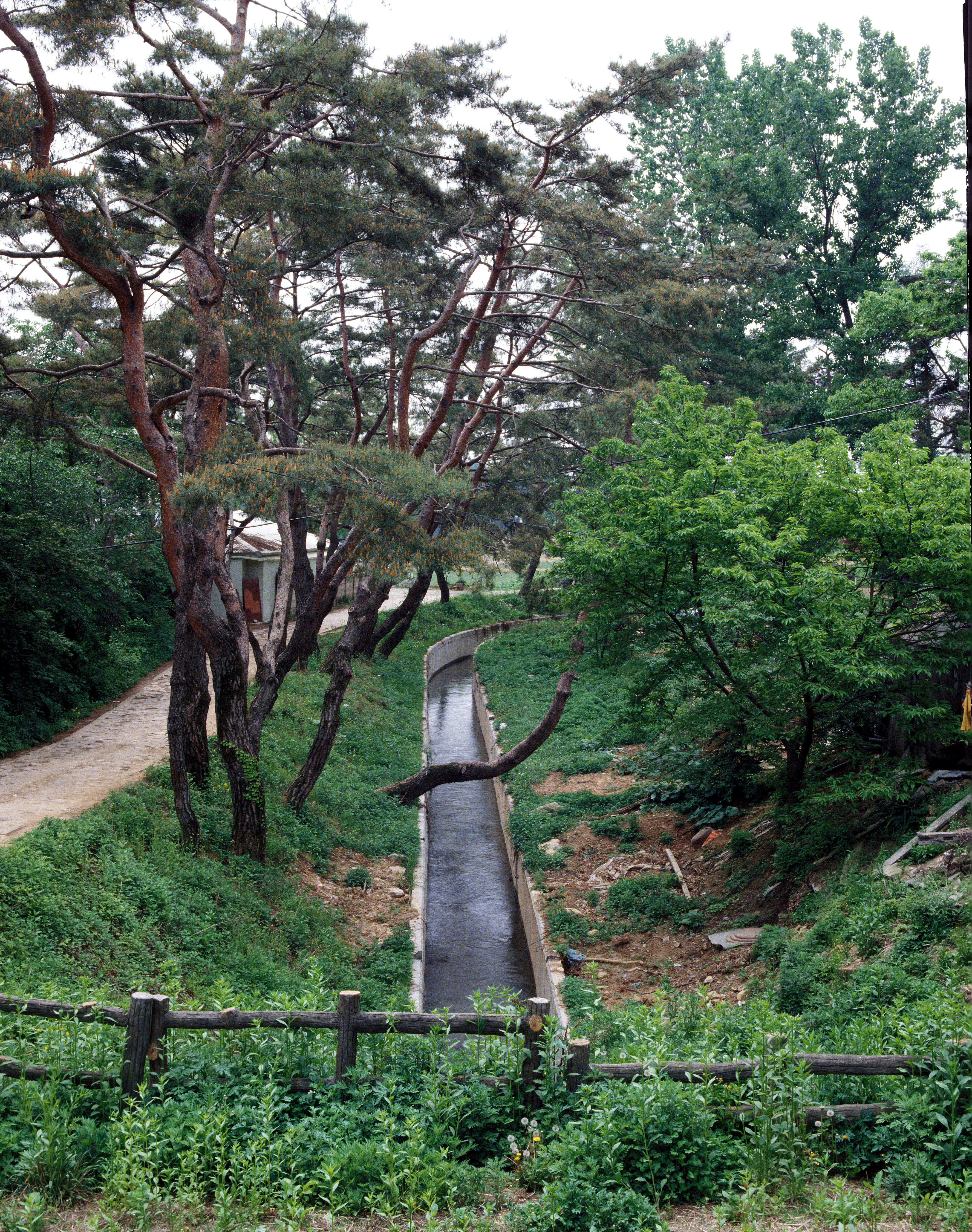 의림지                                            