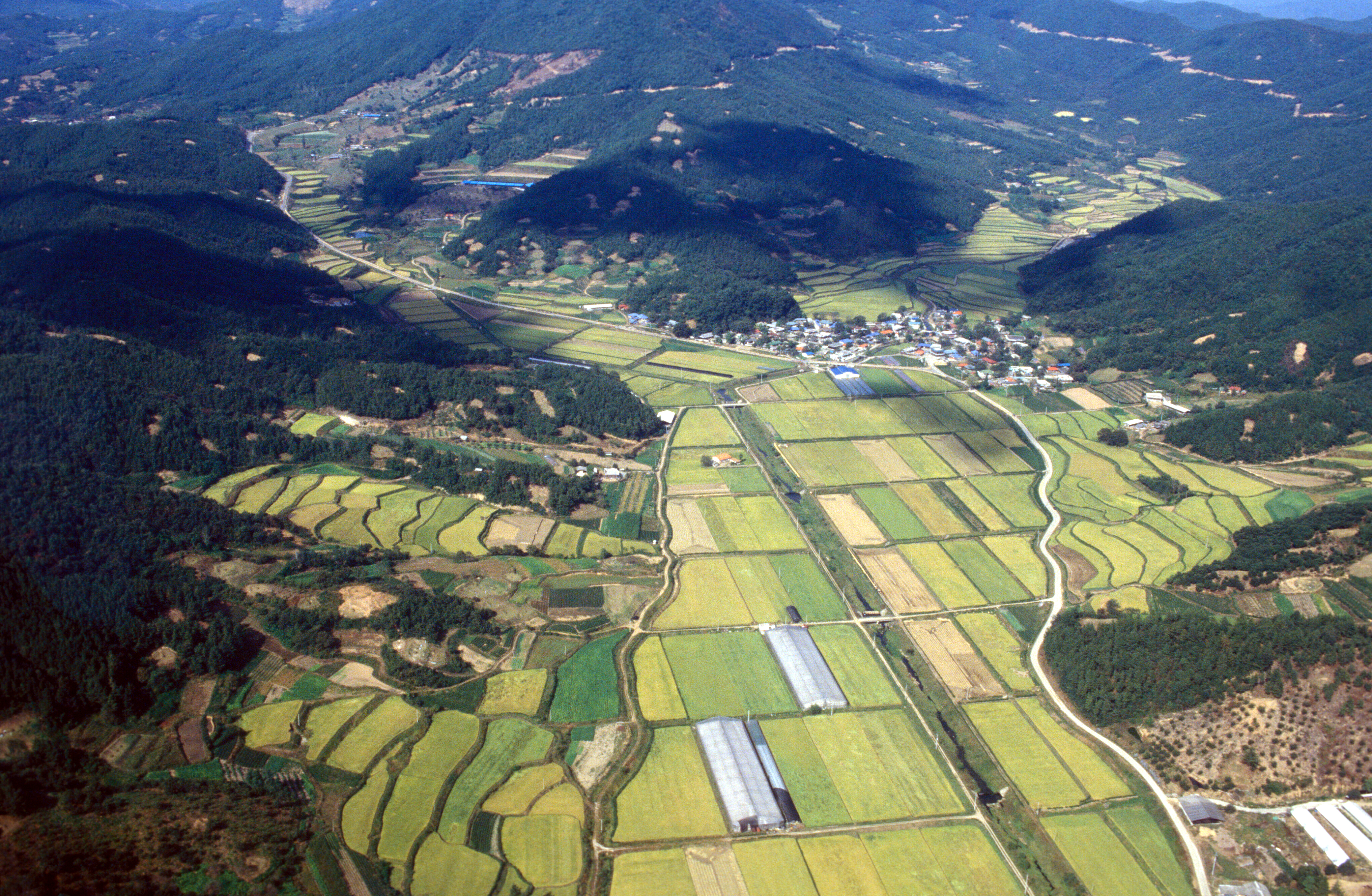 경지정리                                          