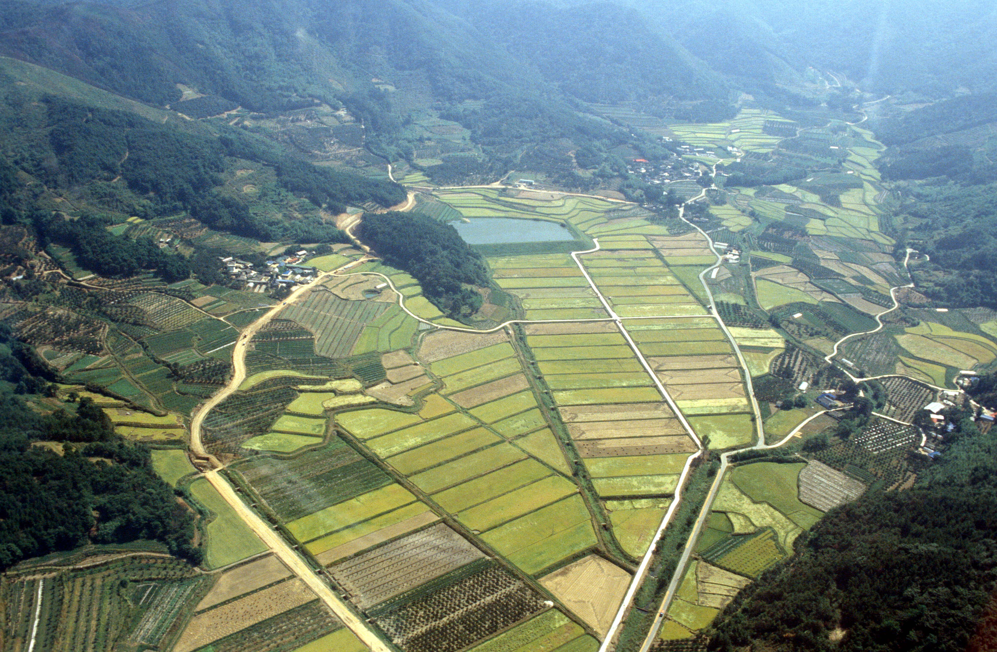 경지정리                                          