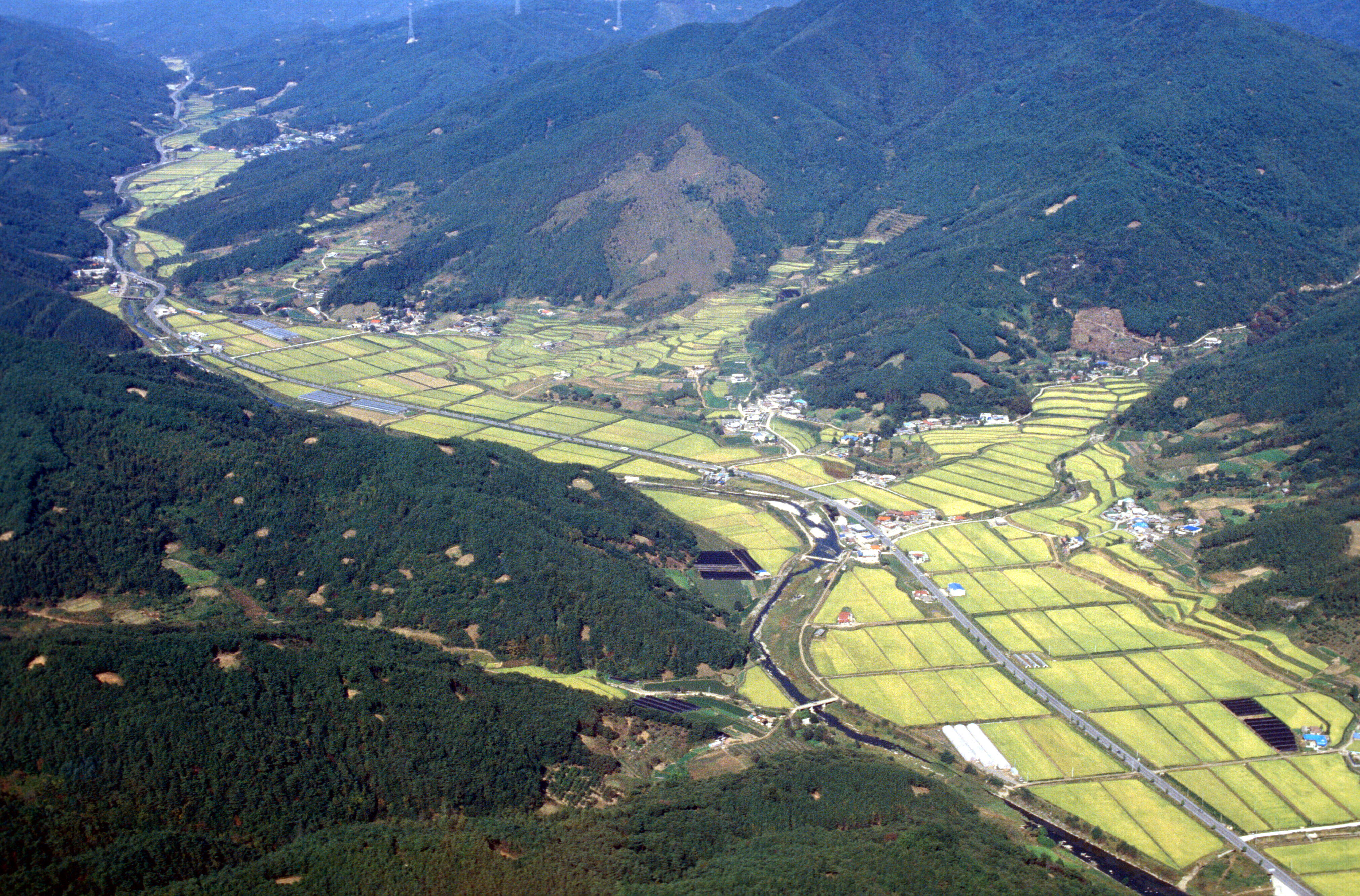 경지정리                                          
