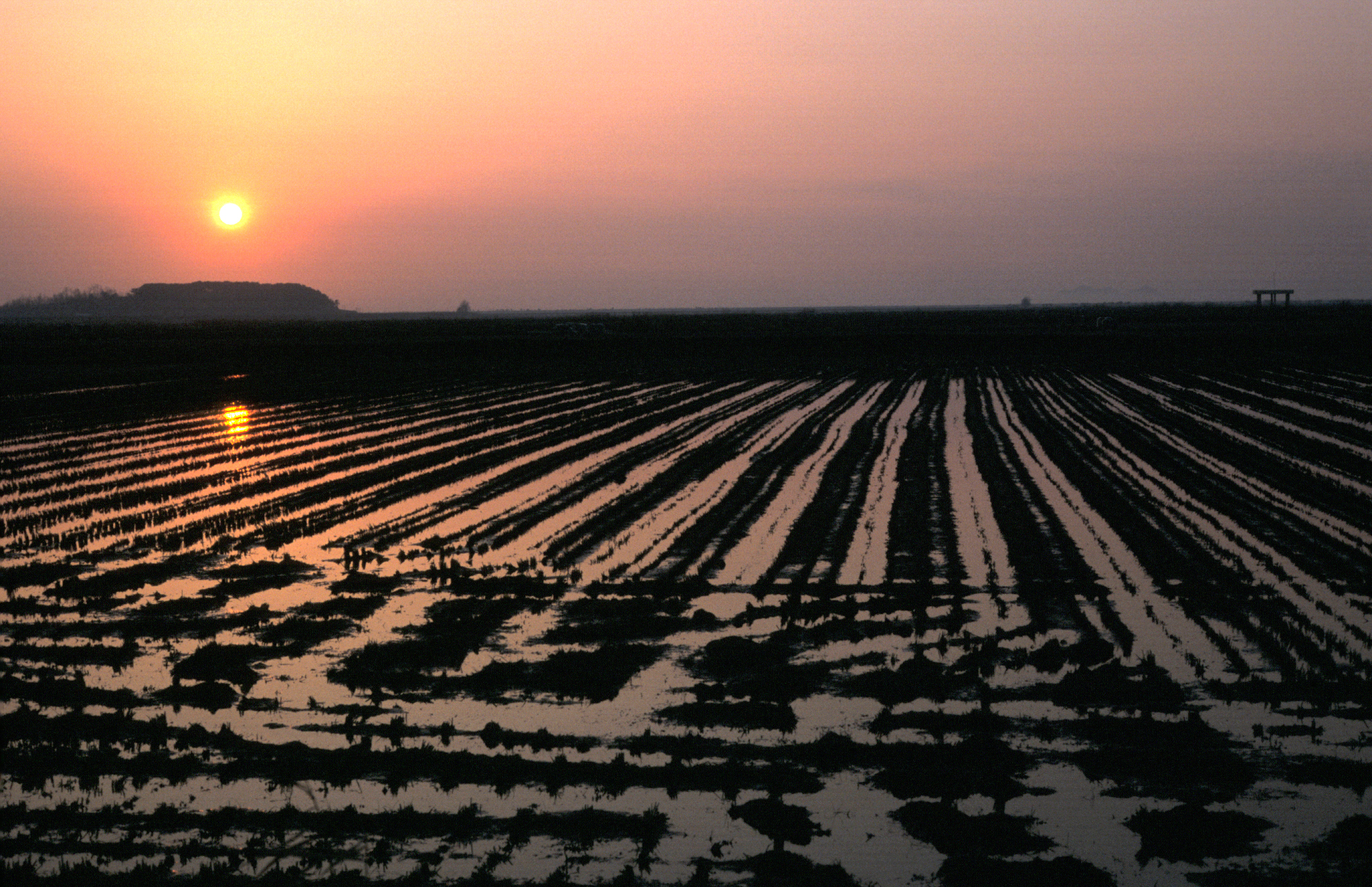 농촌풍경                                          