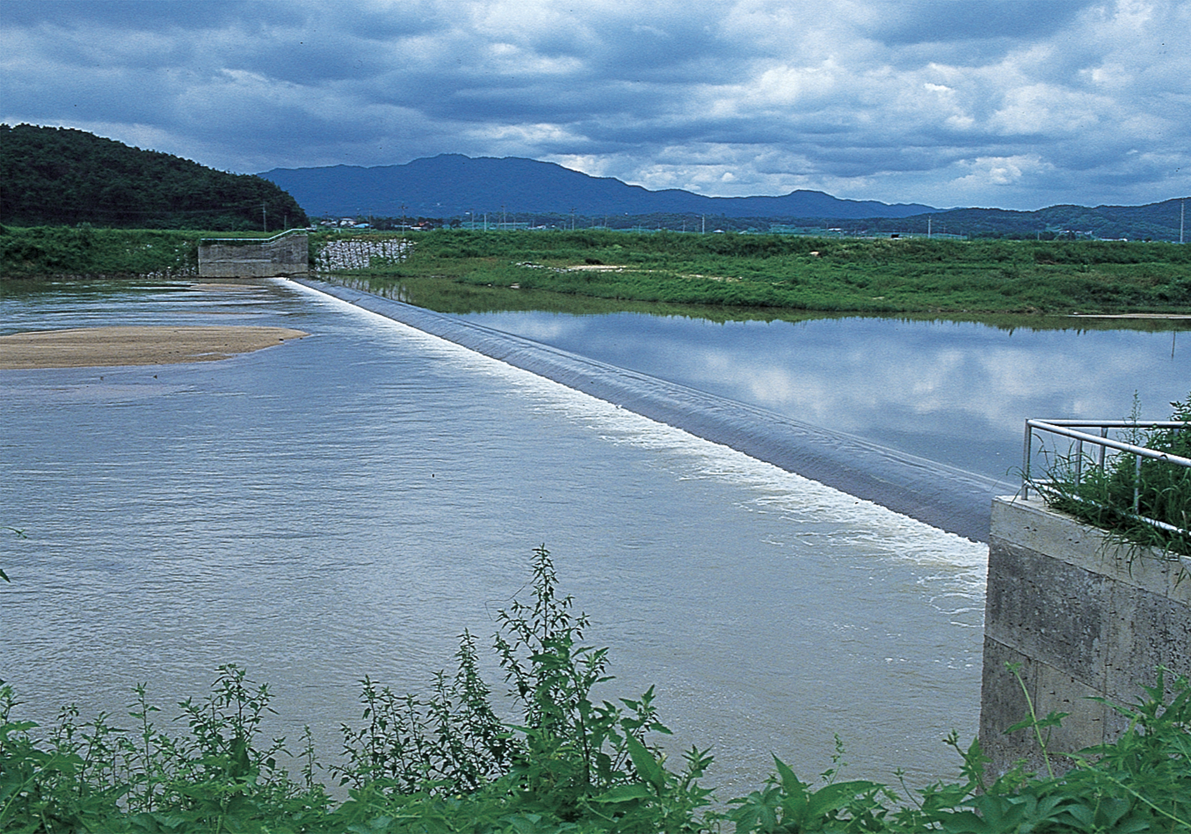 보                                                