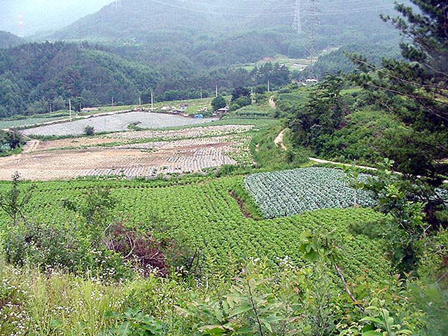 밭기반 시행전 현장                                