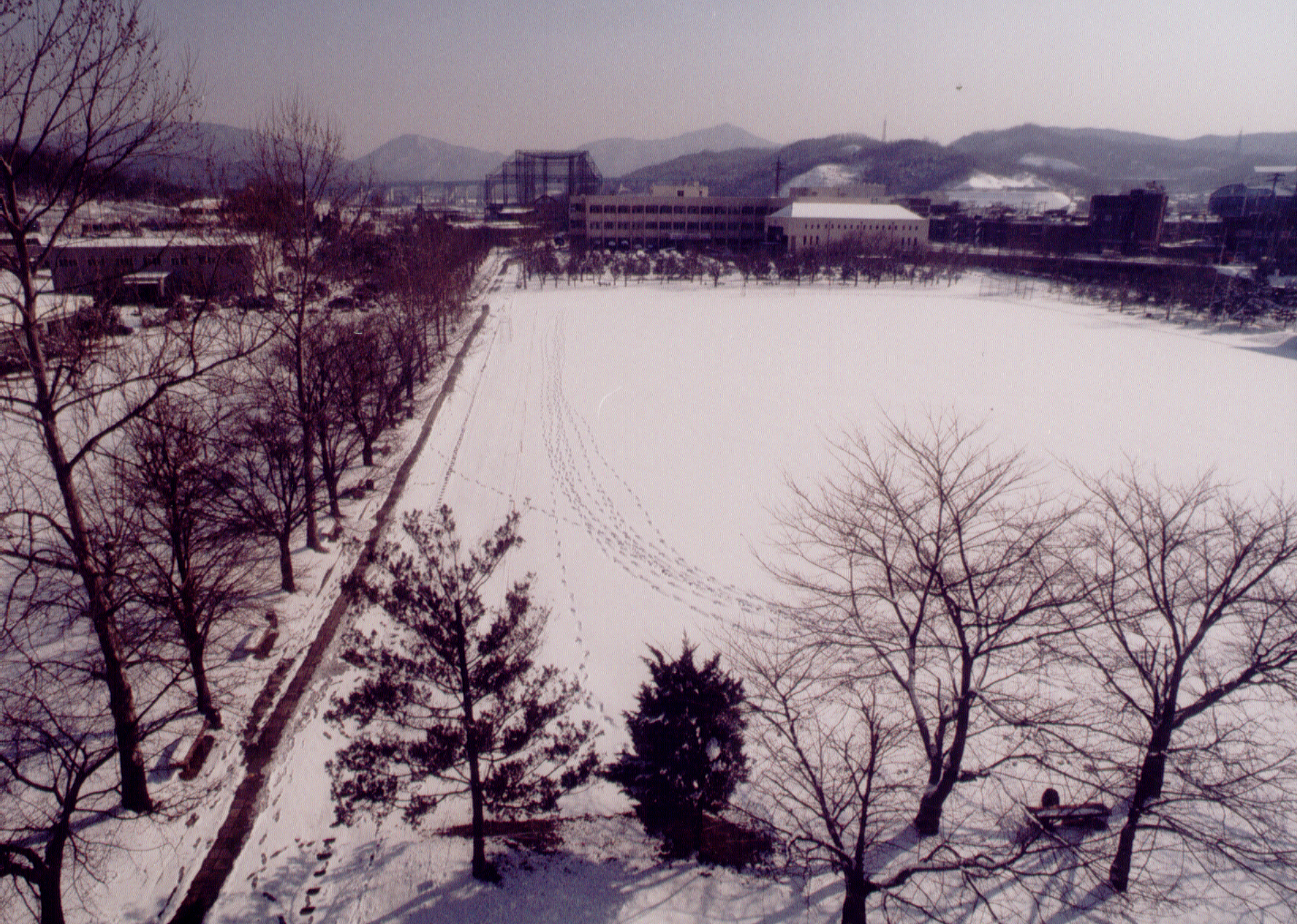 본사설경                                          