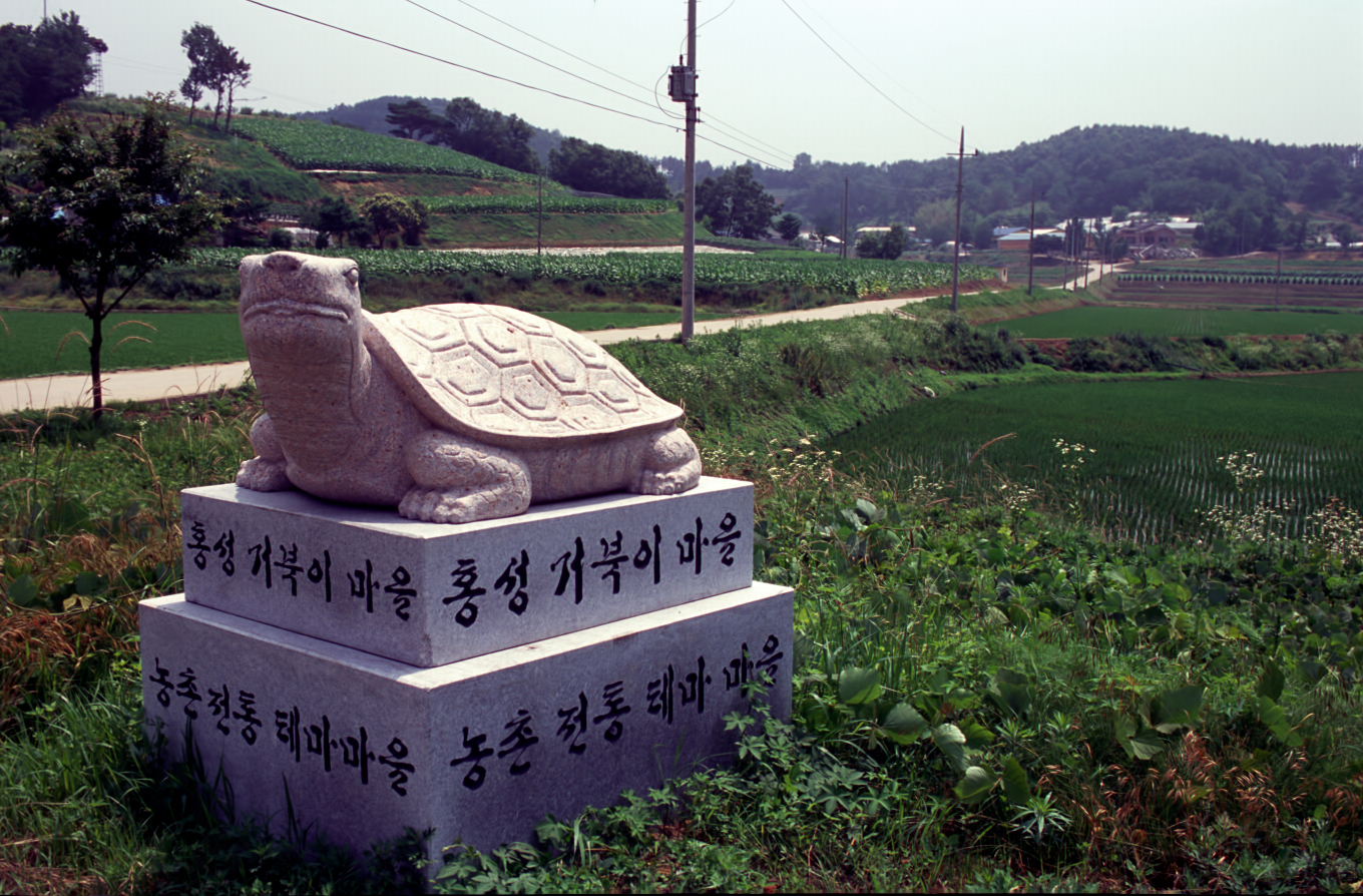 거북이마을                                        