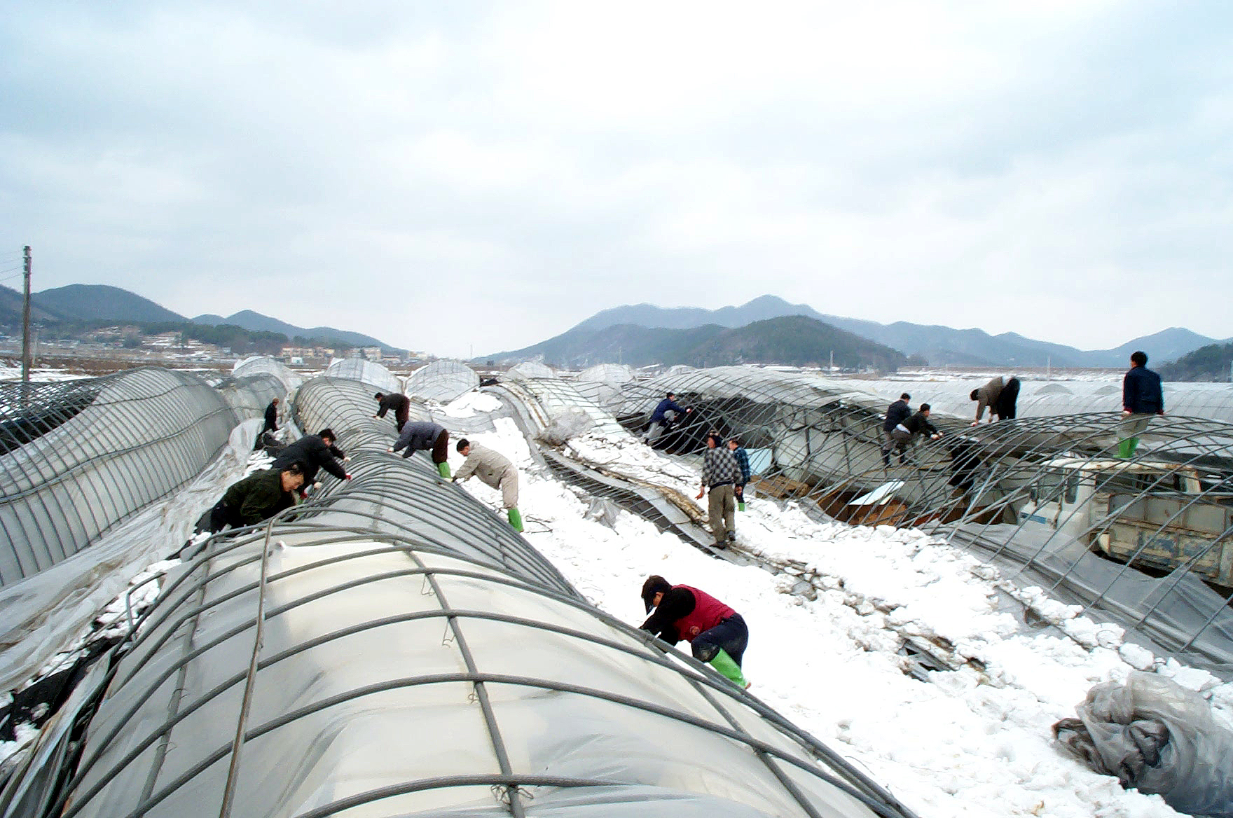 충남 대민지원                                     