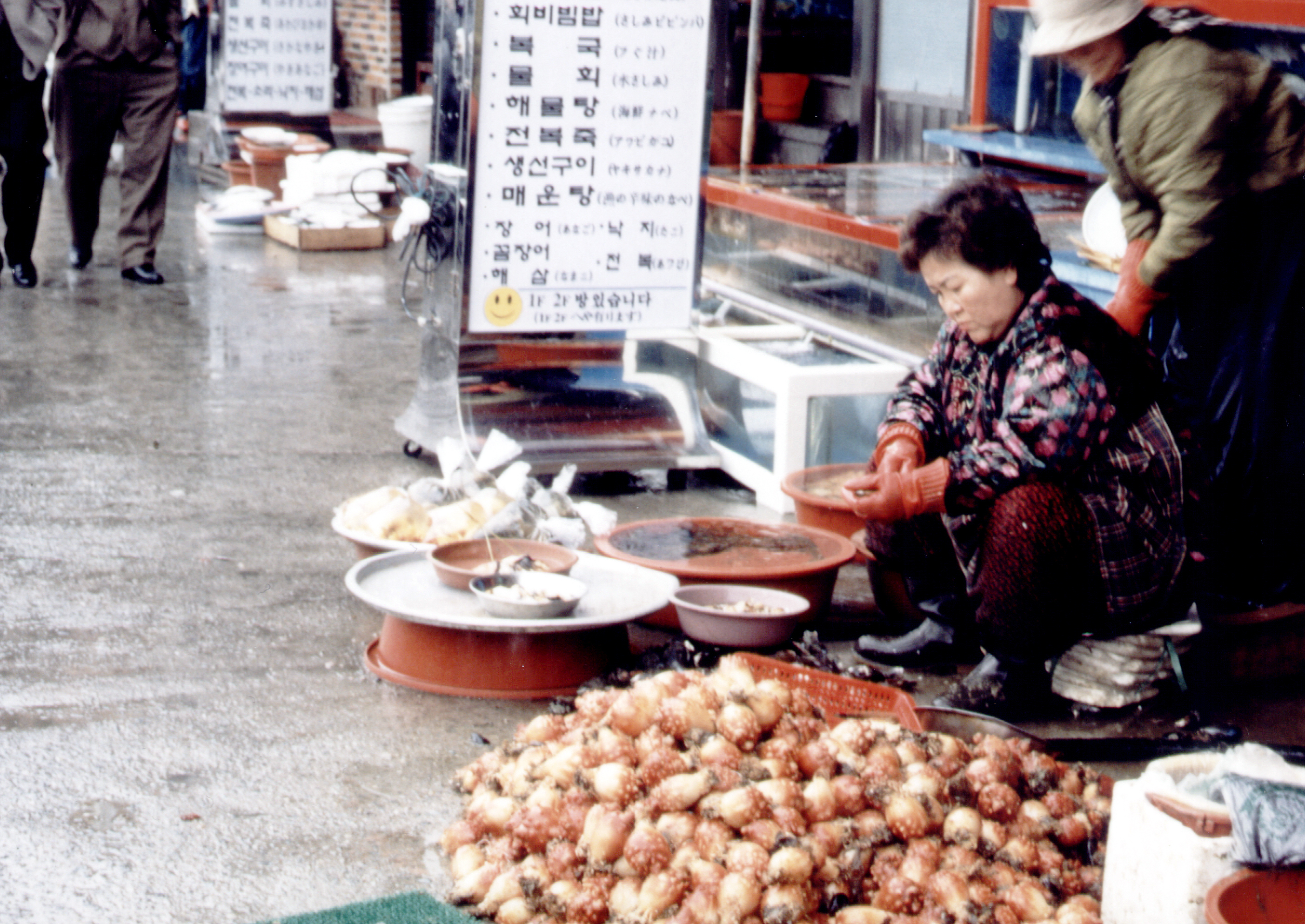 윤정선기사                                        