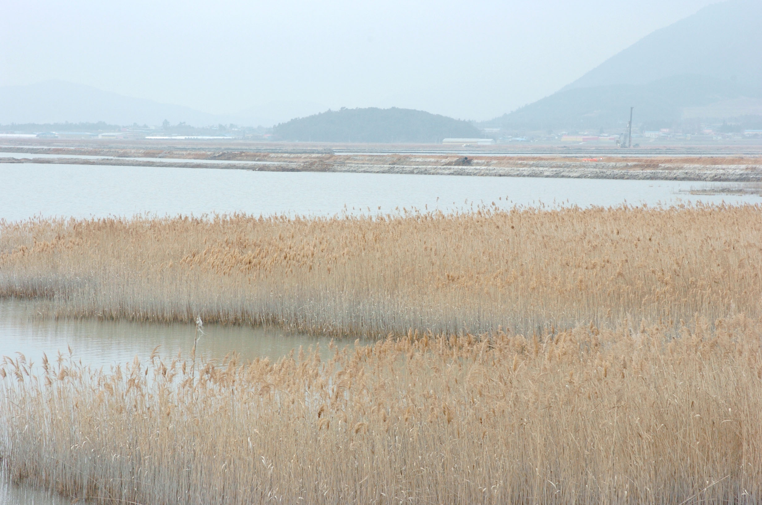 전남장흥                                          
