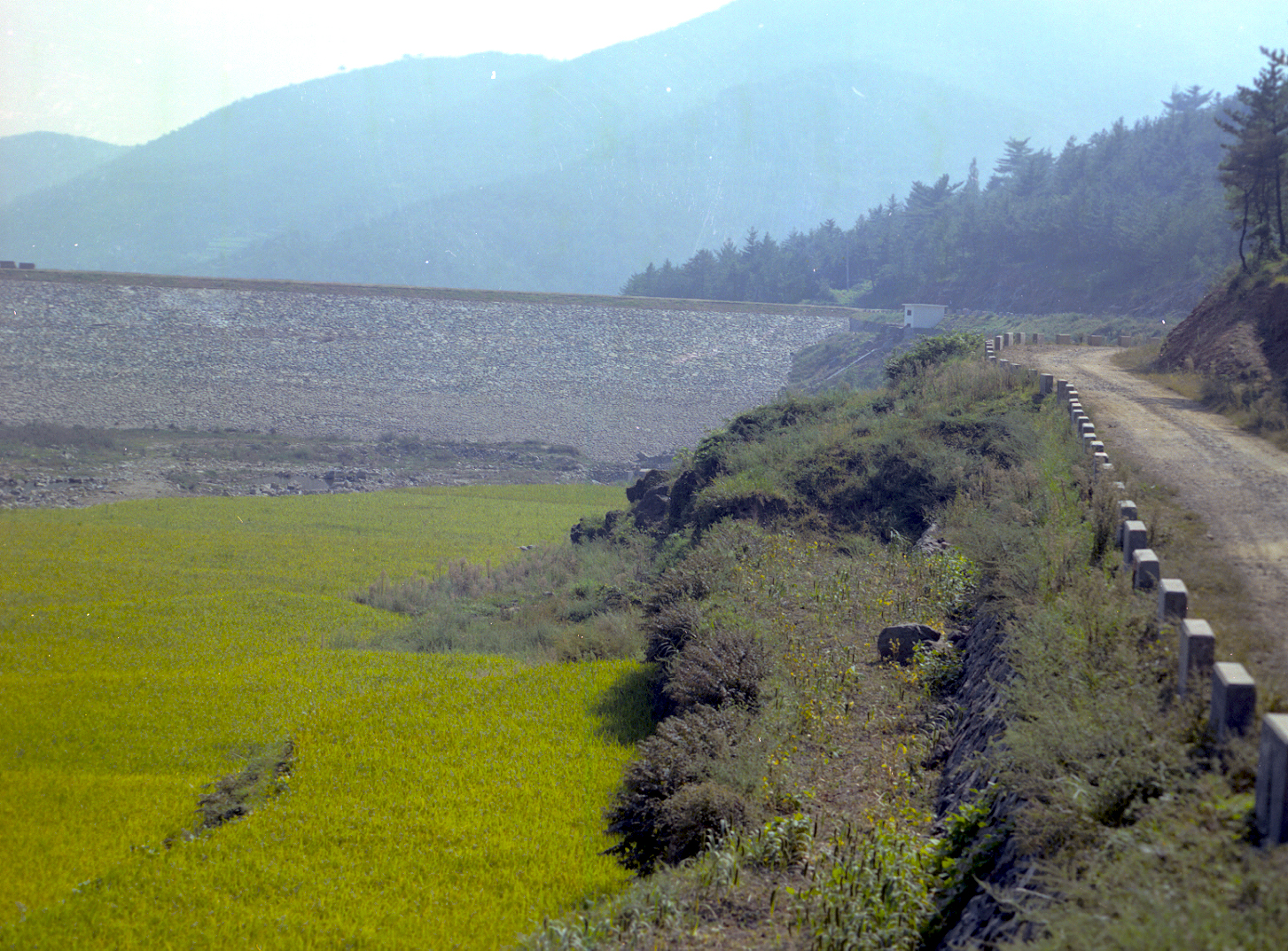 경북지구                                          