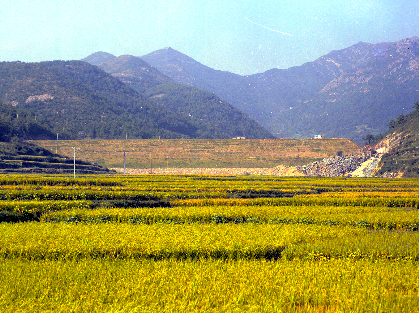 경북지구                                          