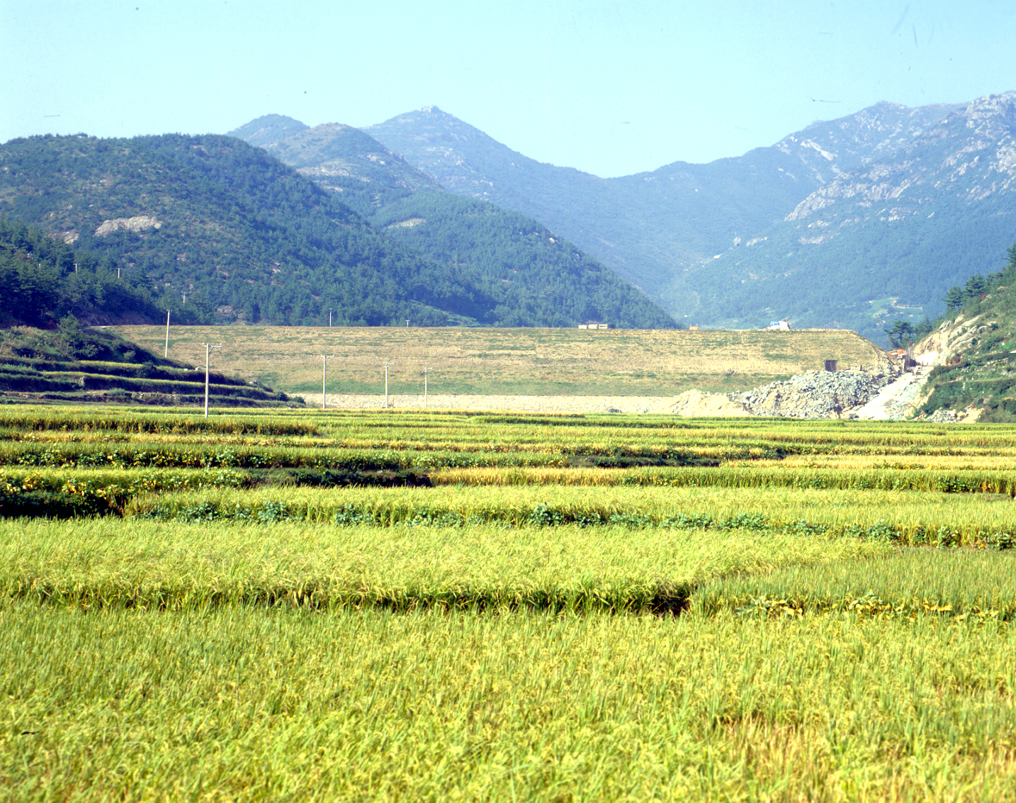 경북지구                                          
