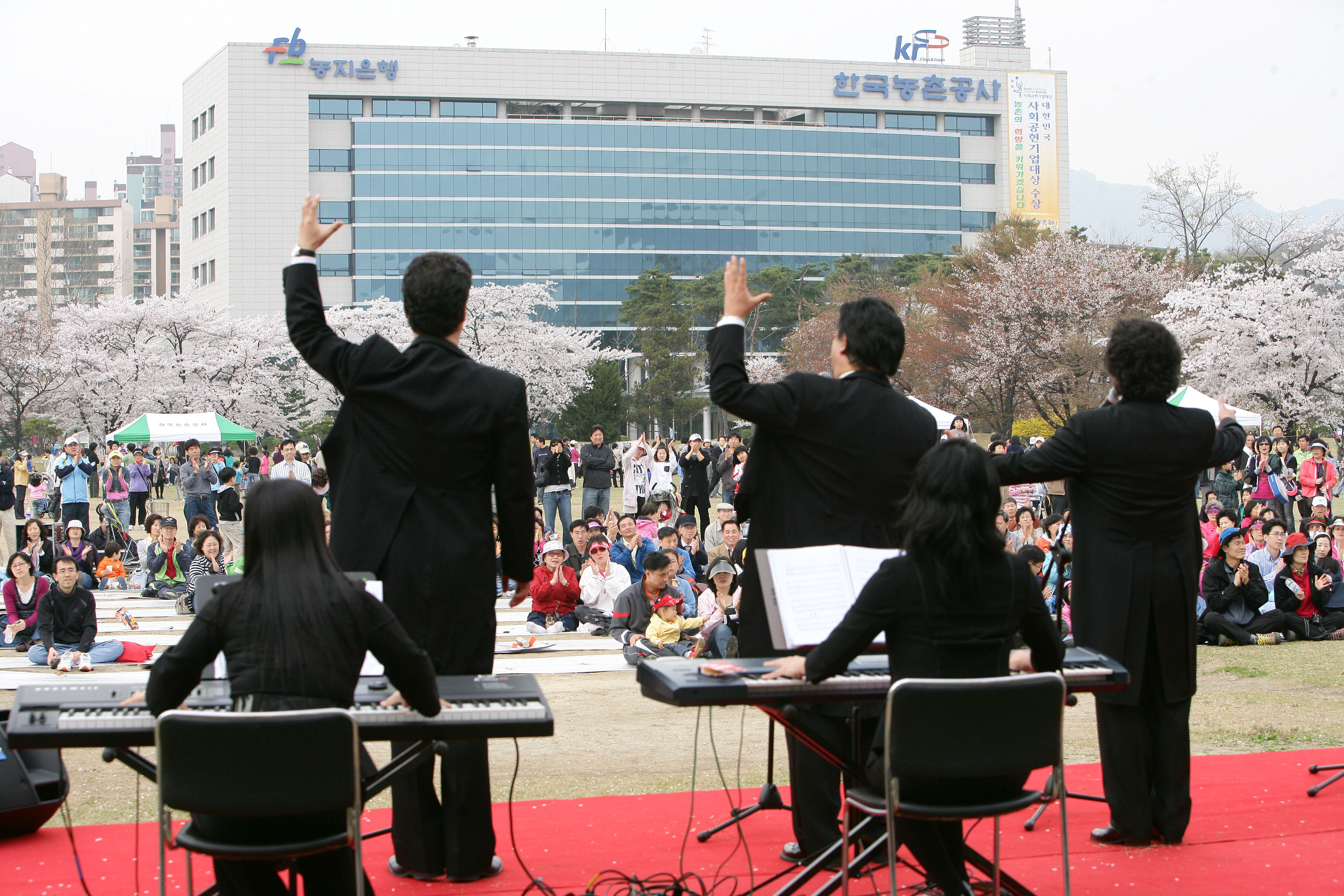 2008 벚꽃축제                                     