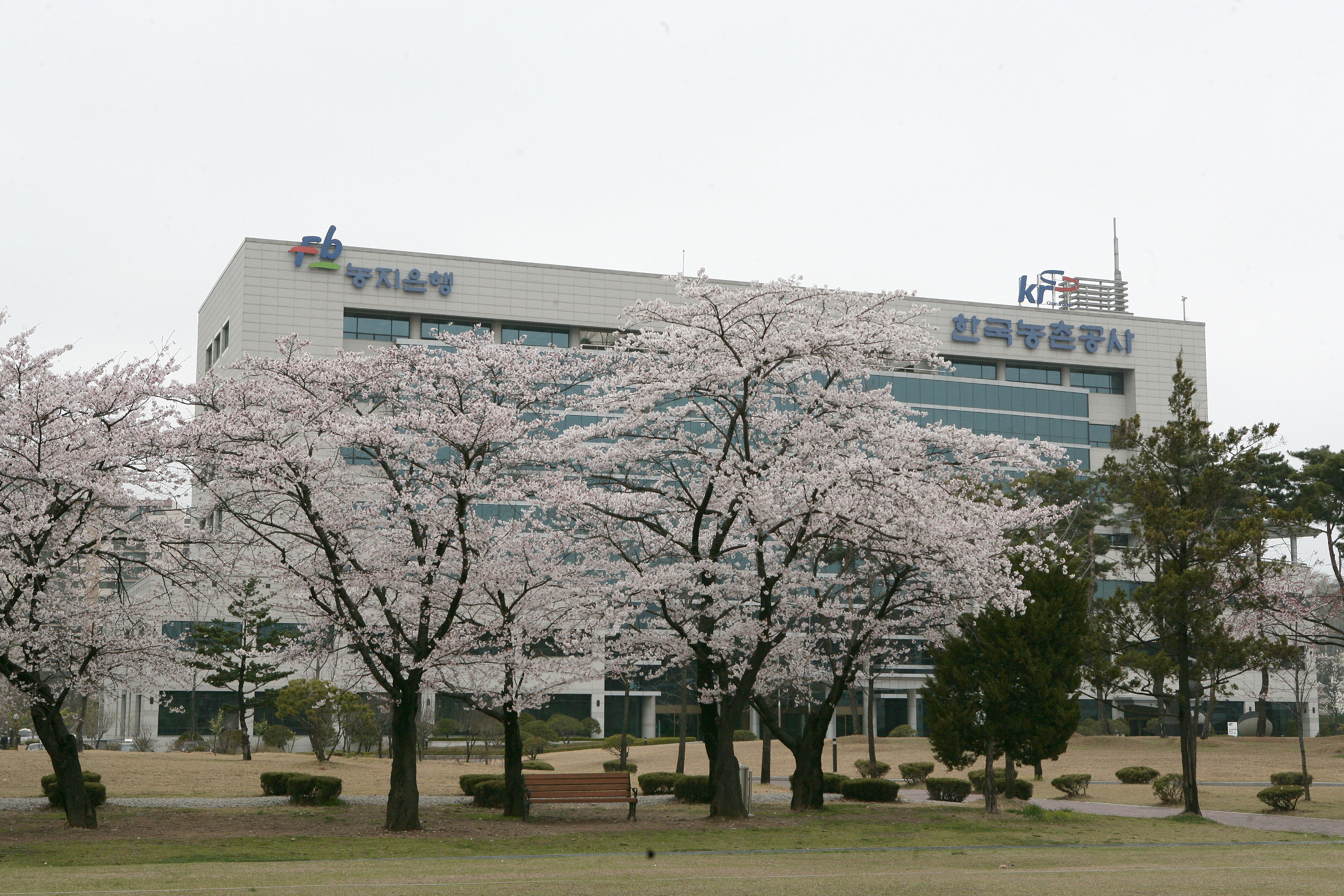 2007 한국농촌공사 본사 전경                       