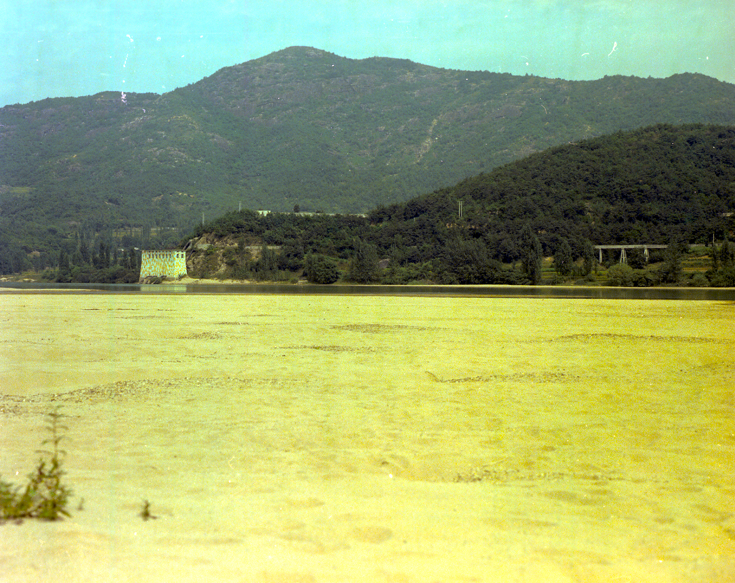 경북지구                                          