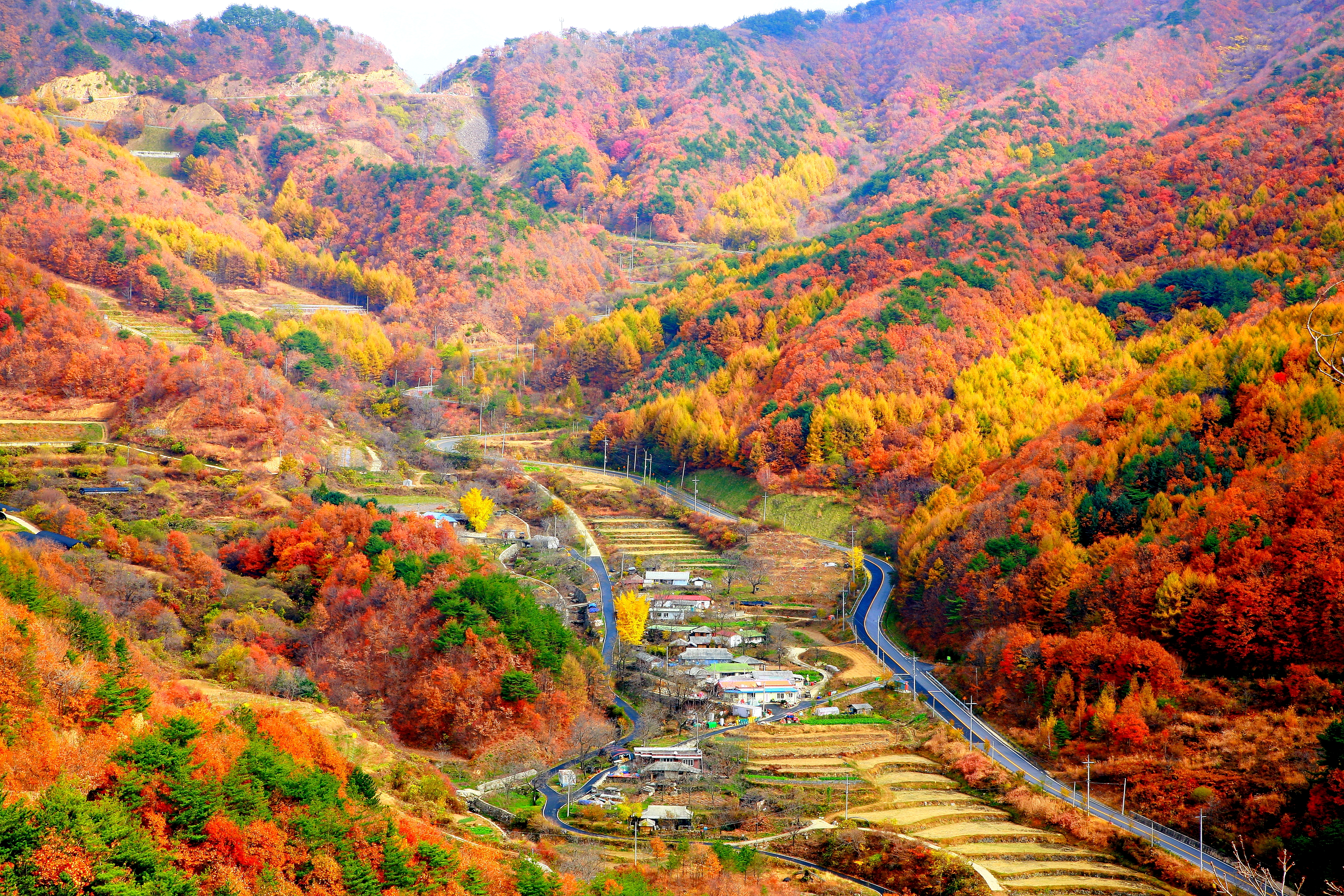 산촌의 가을