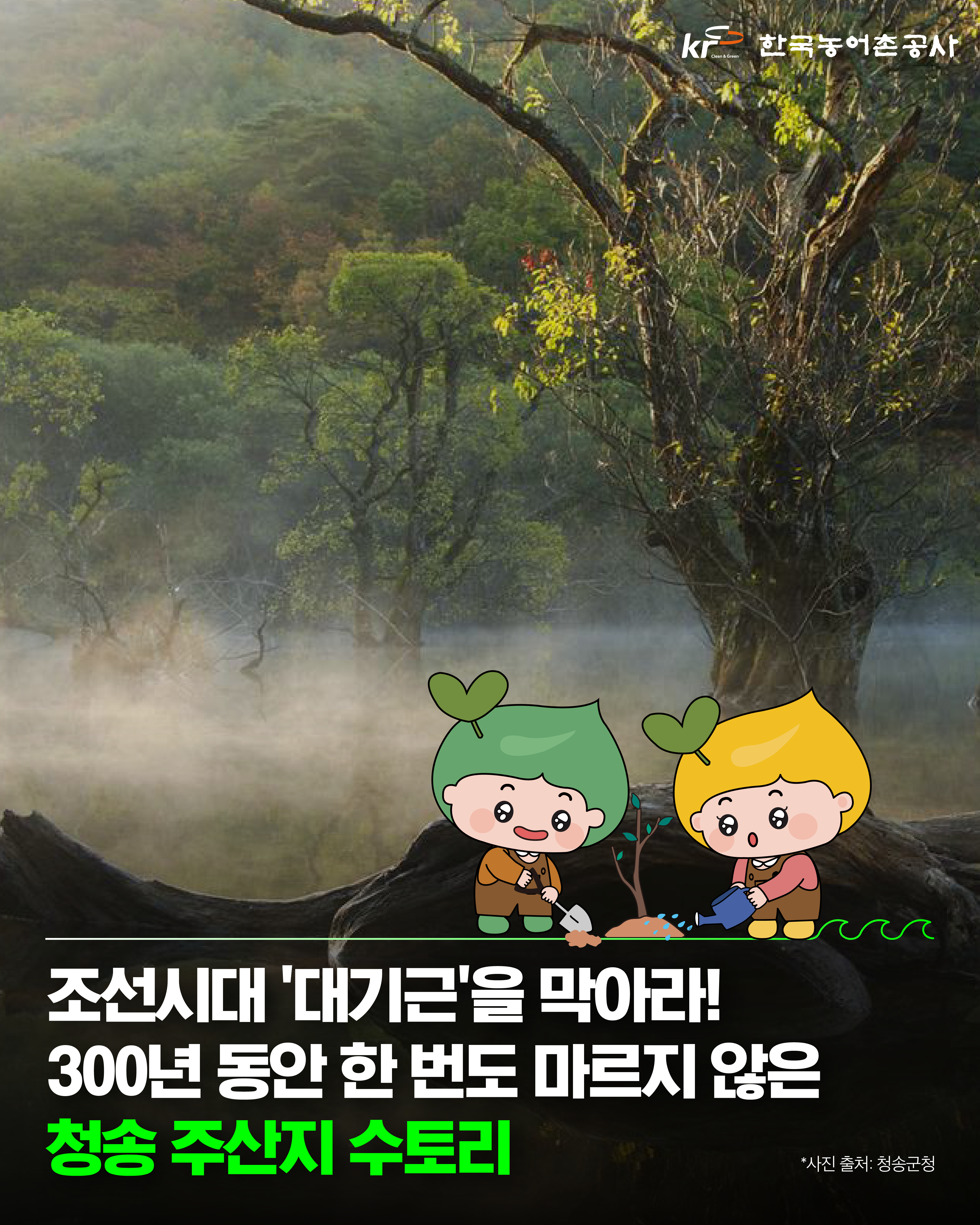 [KRC 카드뉴스] 수토리_청송 주산지 썸네일