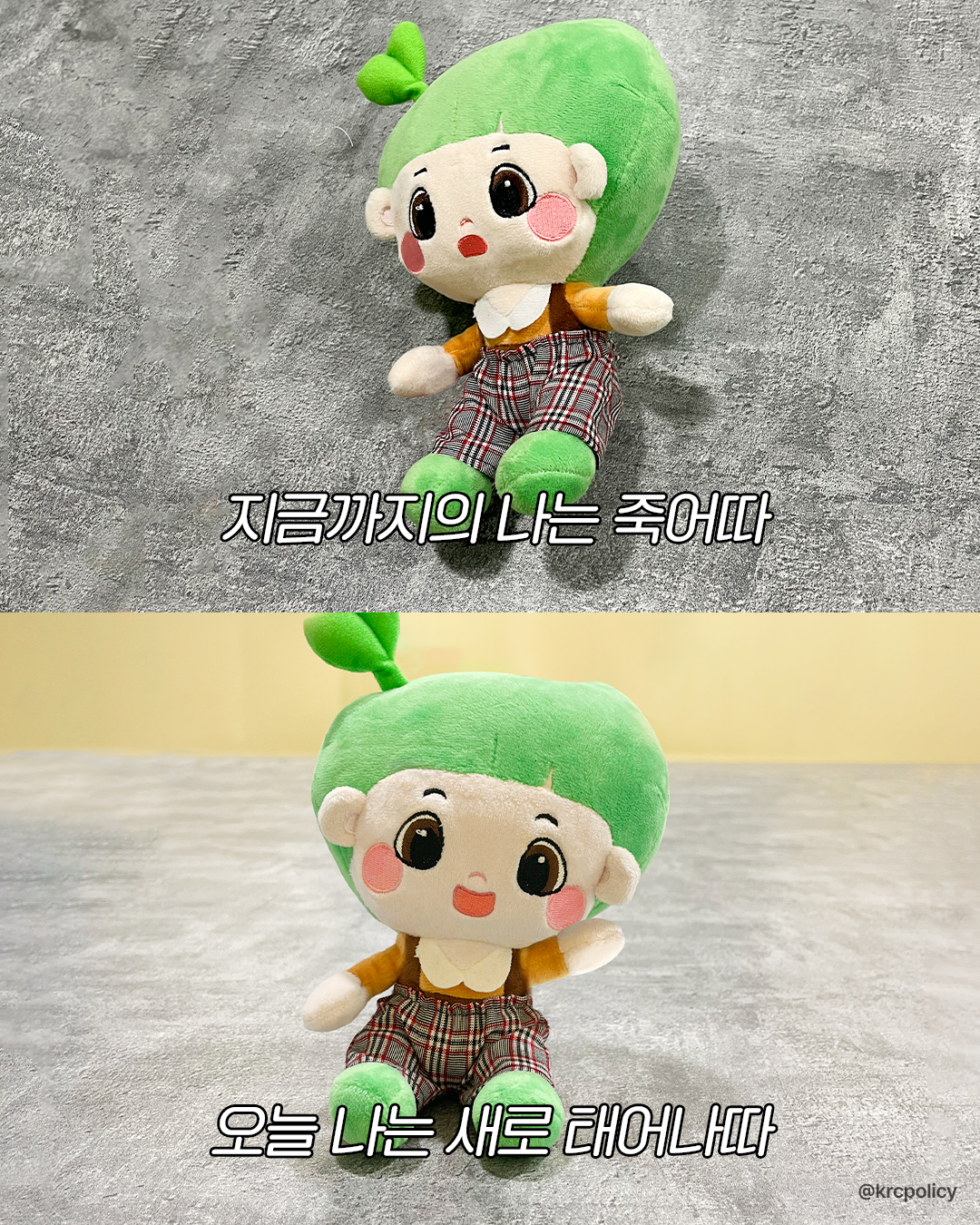 [실사이미지]갓생 썸네일
