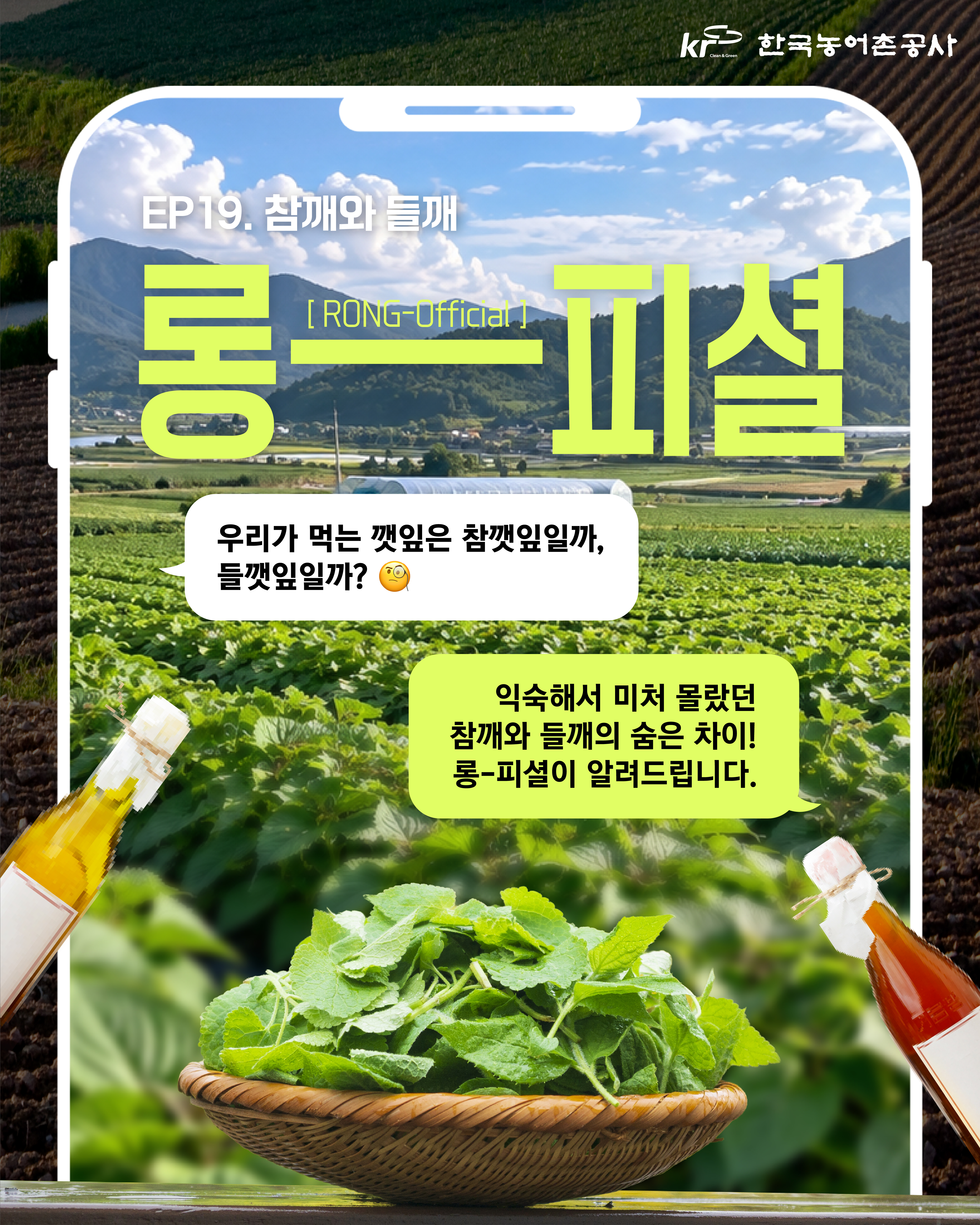 [카드뉴스]롱-피셜 EP19. 우리가 먹는 깻잎은 참깻잎일까, 들깻잎일까? 썸네일