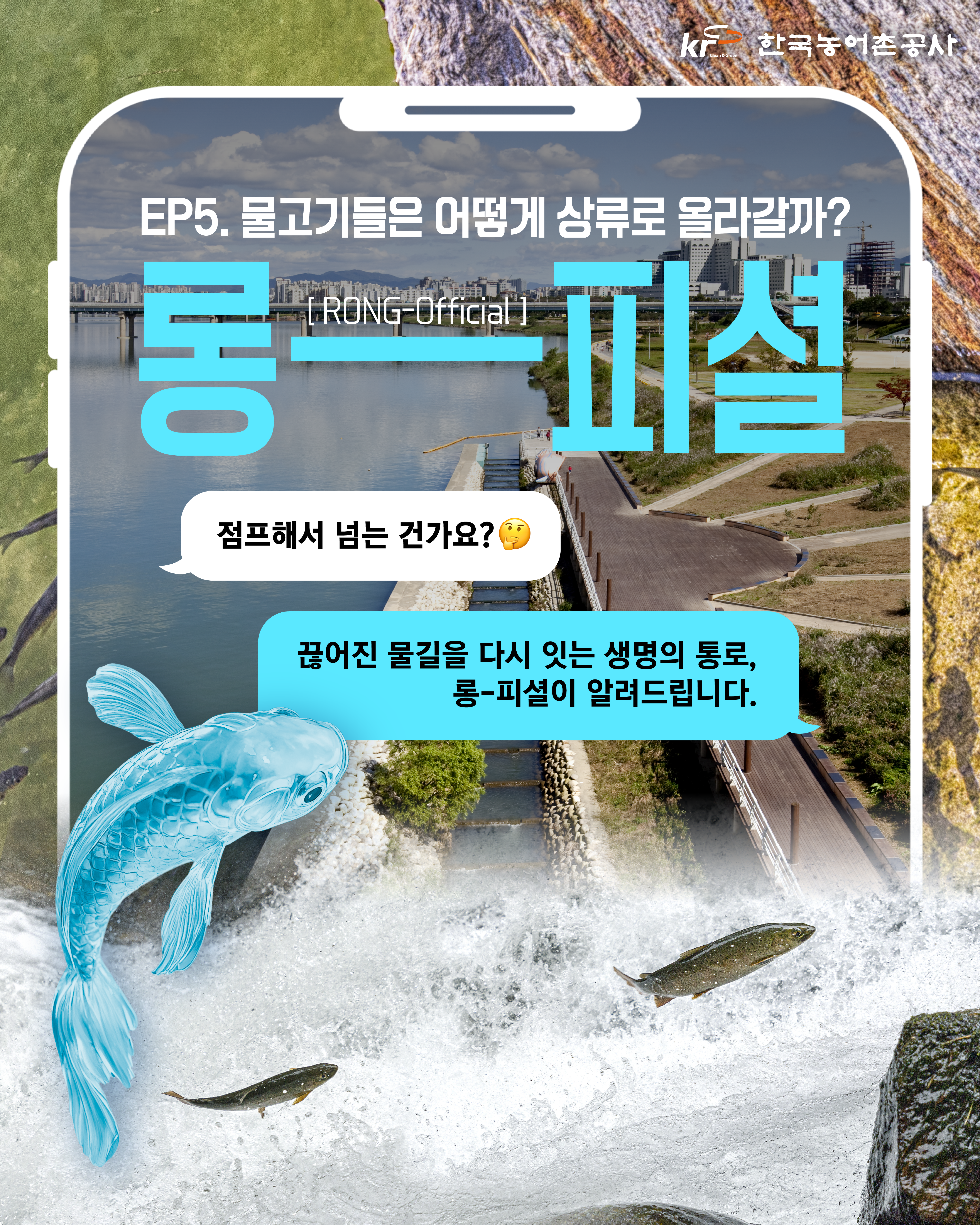 [KRC 카드뉴스]상류 물고기 썸네일