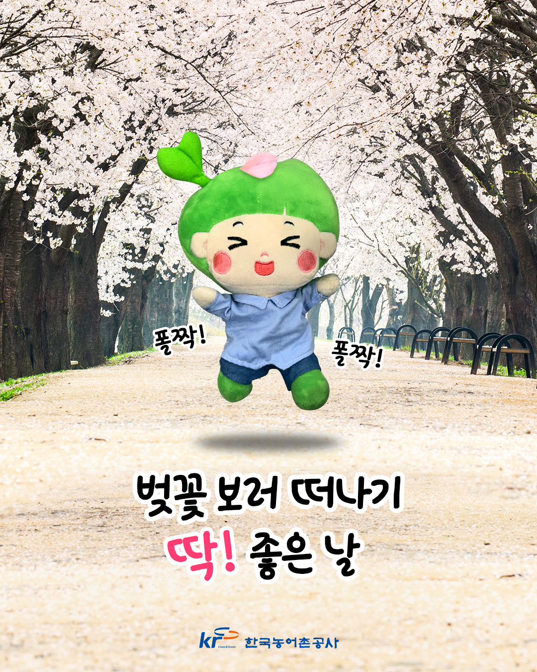 [단장이미지]벚꽃 보러 떠나기 딱 좋은... 썸네일