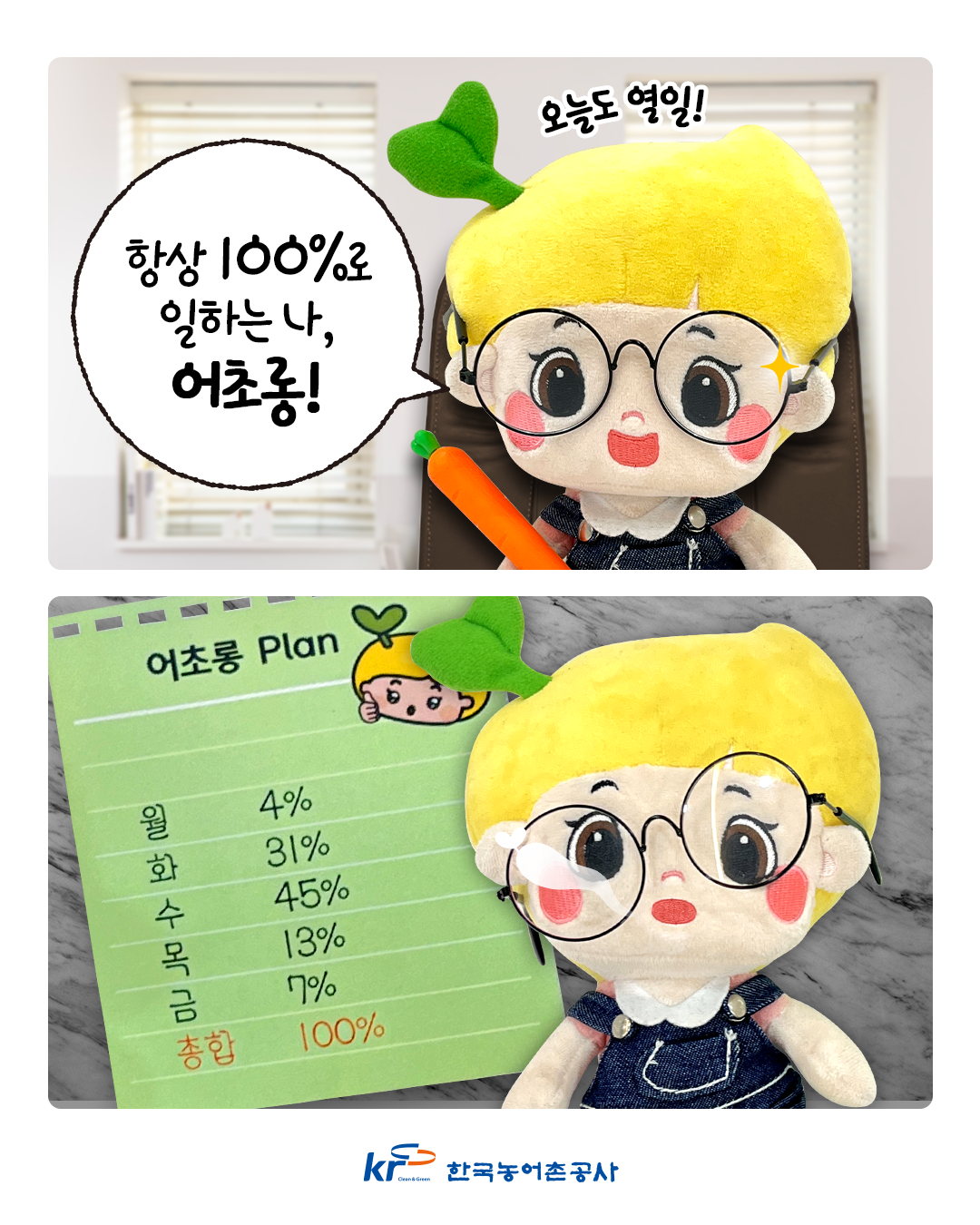 [단장이미지]100% 초롱이