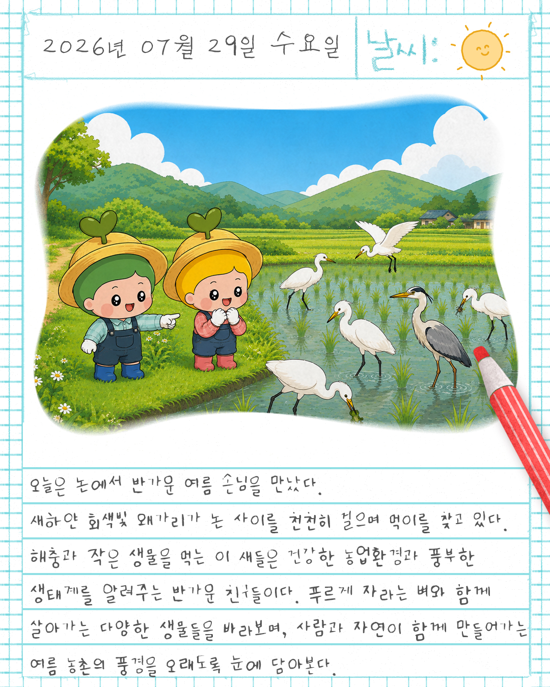 [그림일기] 농촌 풍경_백로와 왜가리 썸네일
